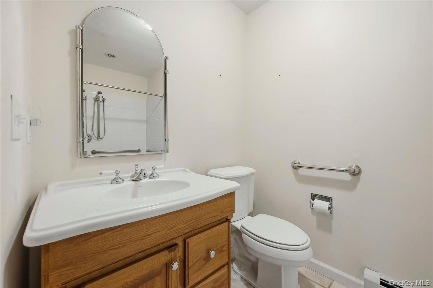 Single Family Panel Lane  Orange County, NY 10921, MLS-1024307-16