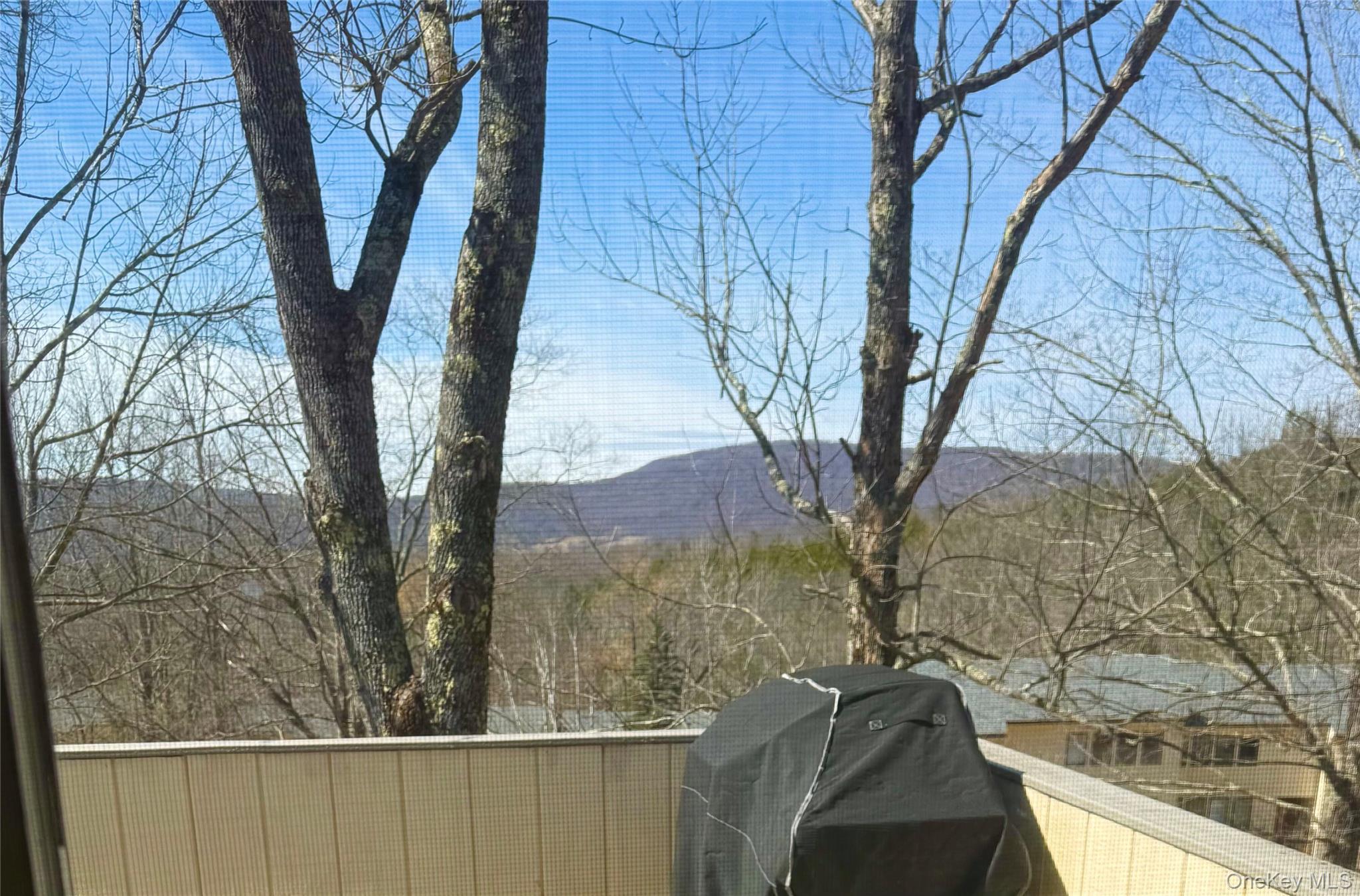 Single Family Pines Drive Delaware County, NY 12474, MLS-1024393-36