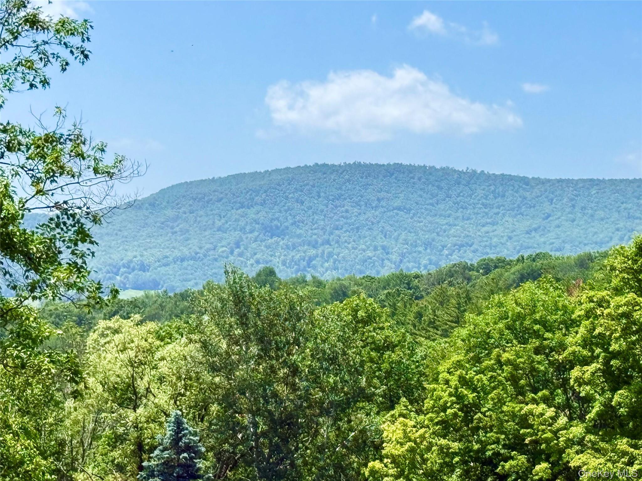 Single Family Pines Drive Delaware County, NY 12474, MLS-1024393-37