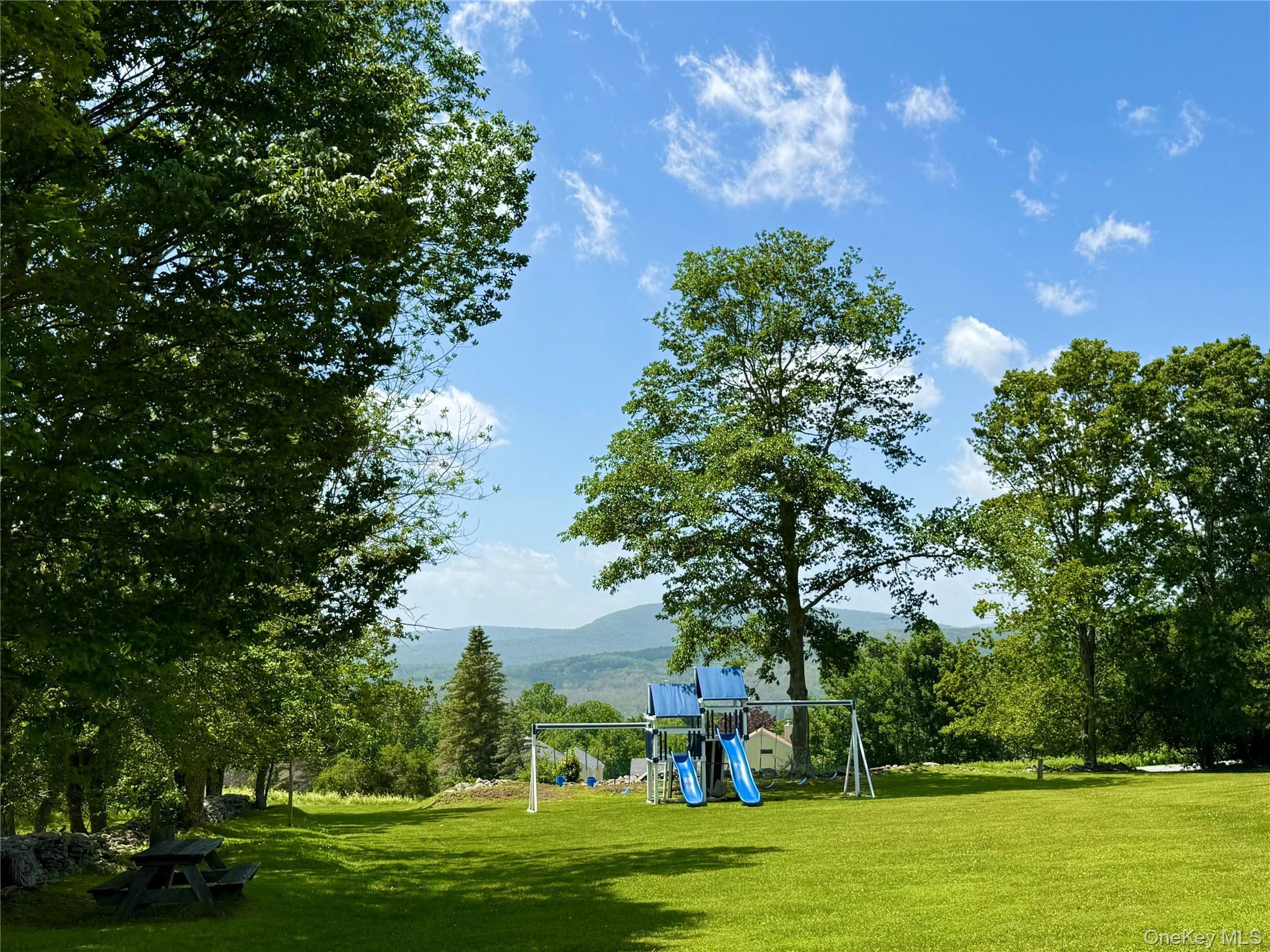 Single Family Pines Drive Delaware County, NY 12474, MLS-1024393-42