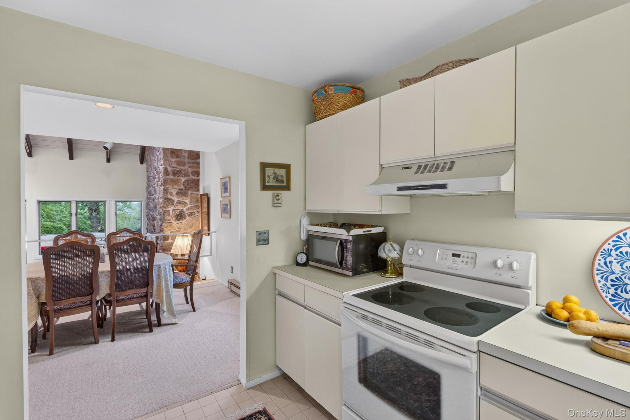 Single Family Pines Drive Delaware County, NY 12474, MLS-1024393-7