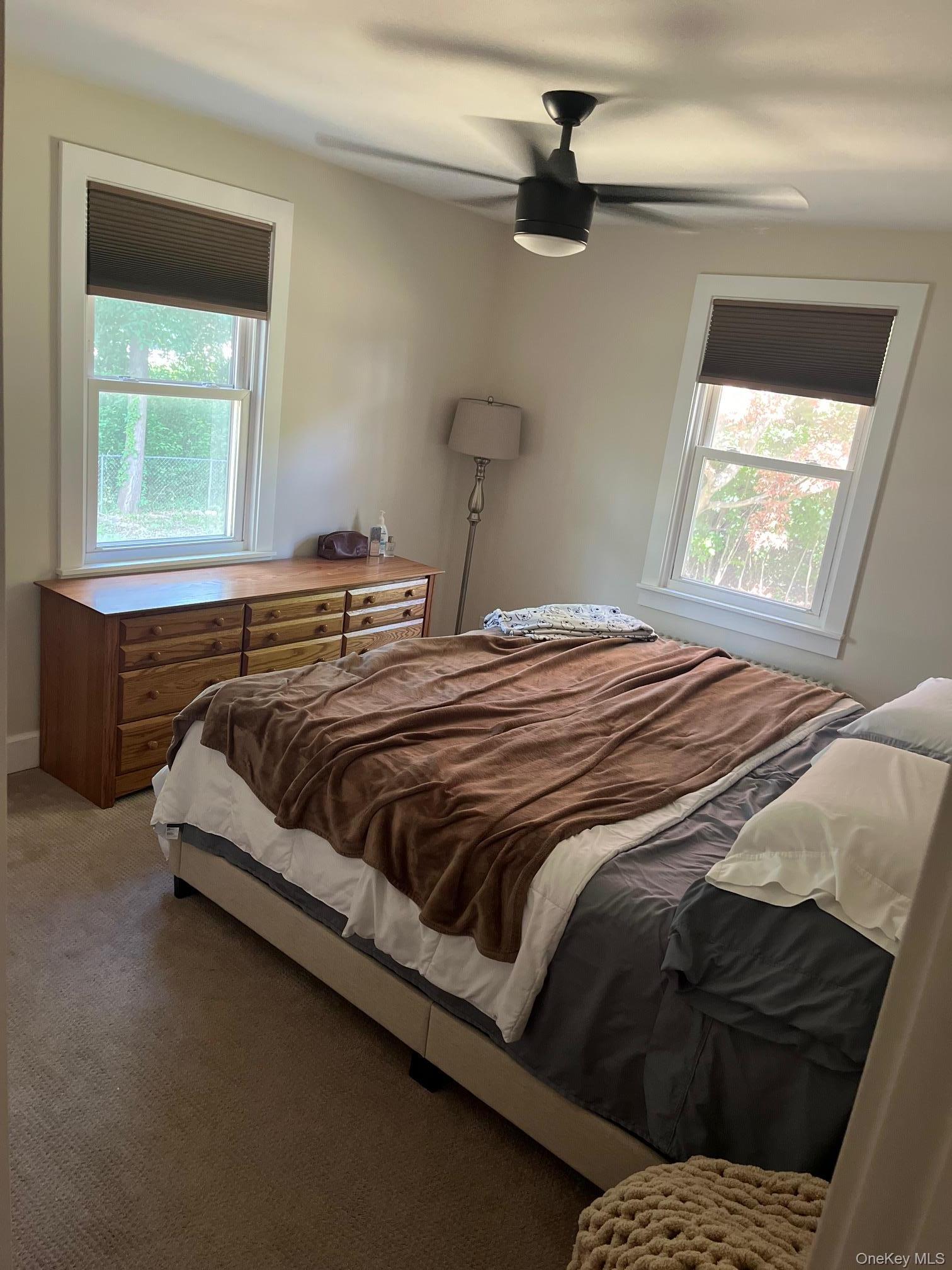 Single Family Codwise Street Ulster County, NY 12401, MLS-1024405-11