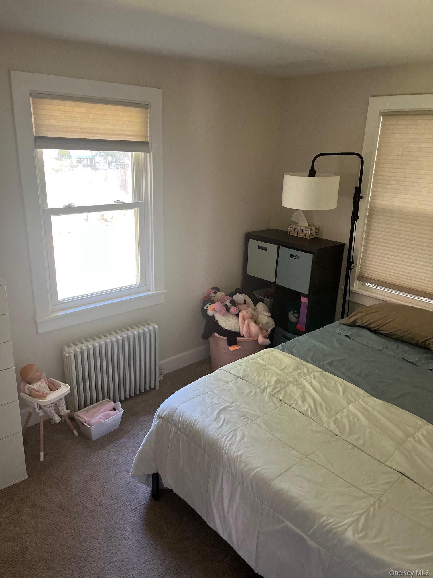 Single Family Codwise Street Ulster County, NY 12401, MLS-1024405-8