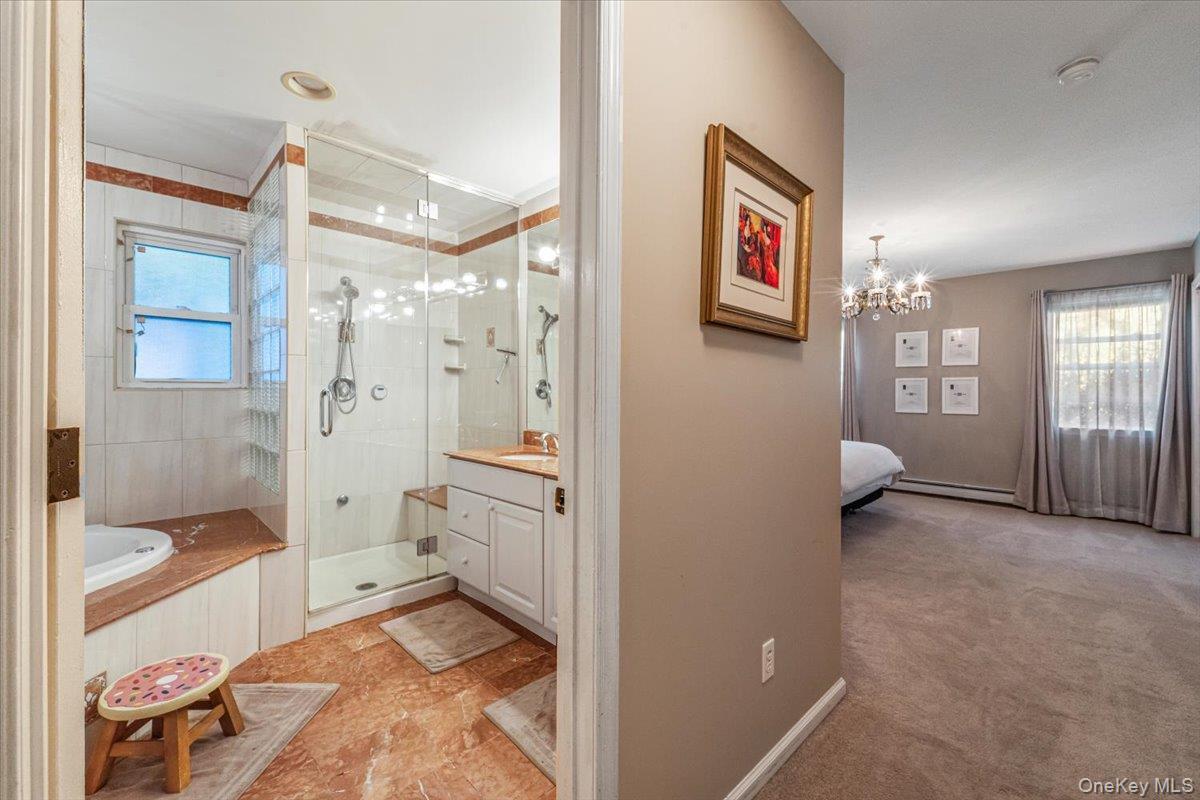 Single Family Manor Drive  Nassau County, NY 11020, MLS-1024465-24