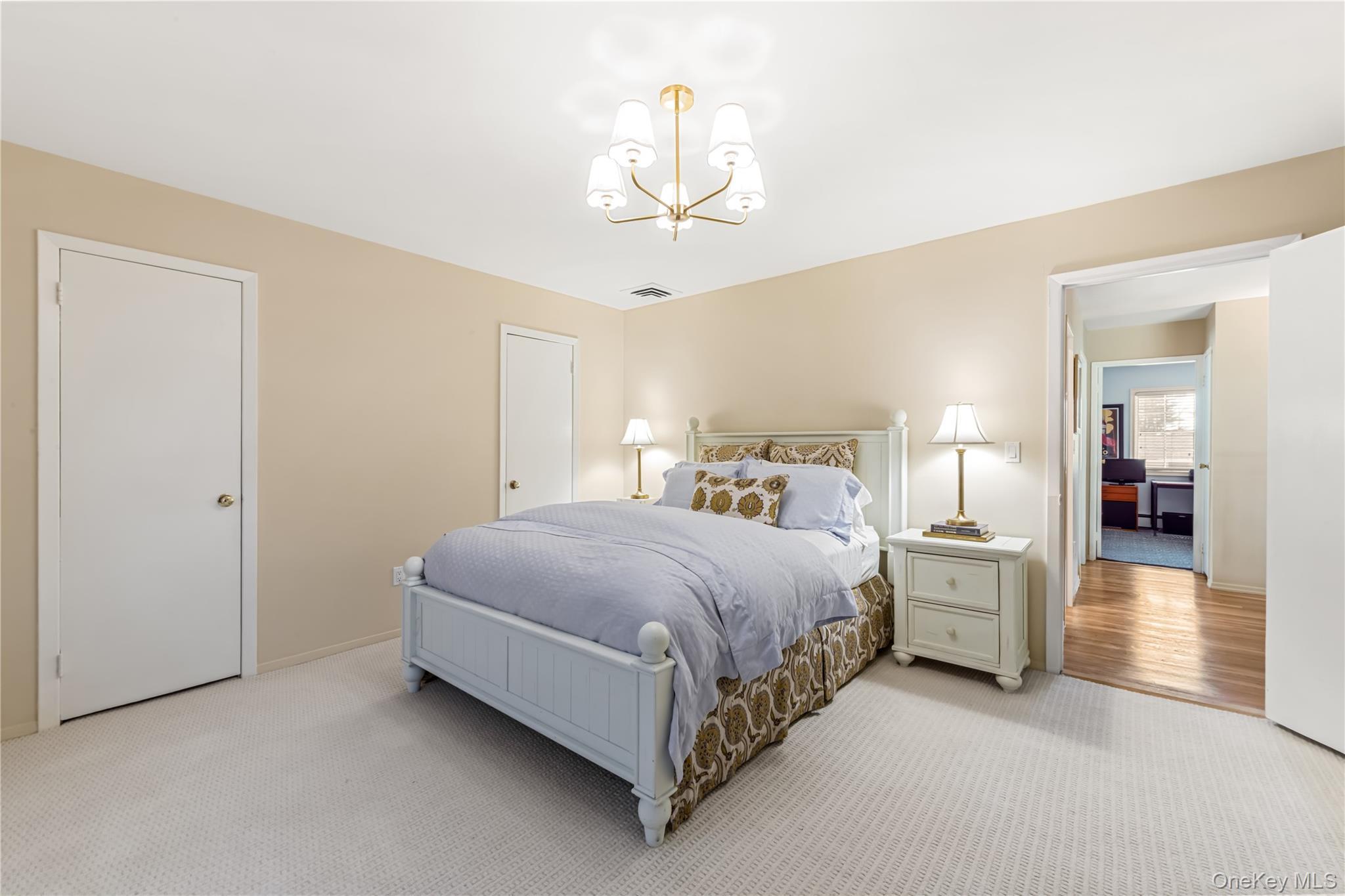 Single Family Delaware Avenue Nassau County, NY 11753, MLS-1024471-14