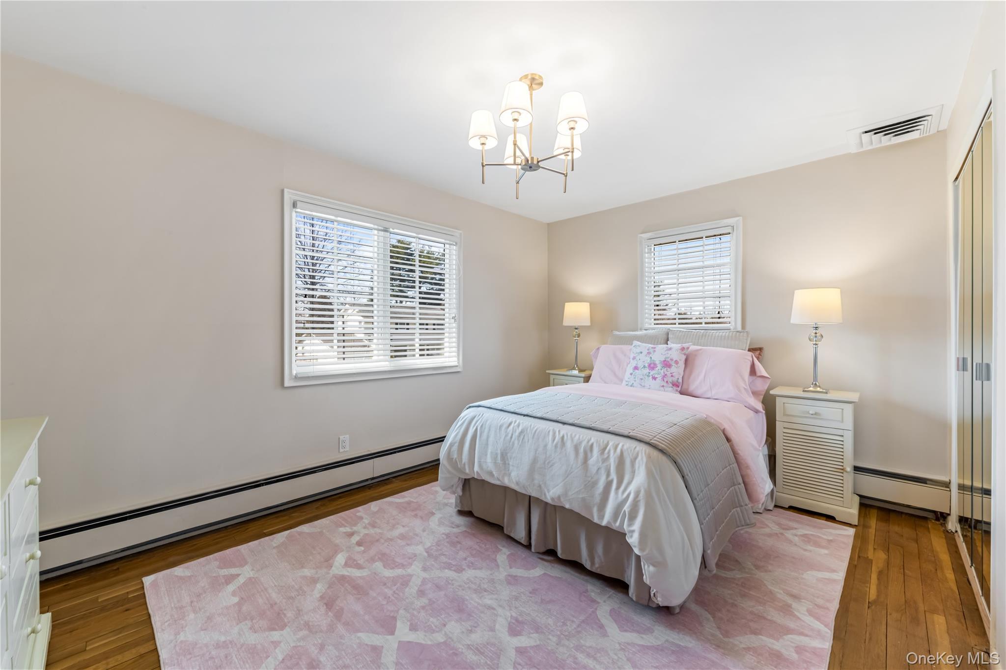 Single Family Delaware Avenue Nassau County, NY 11753, MLS-1024471-17