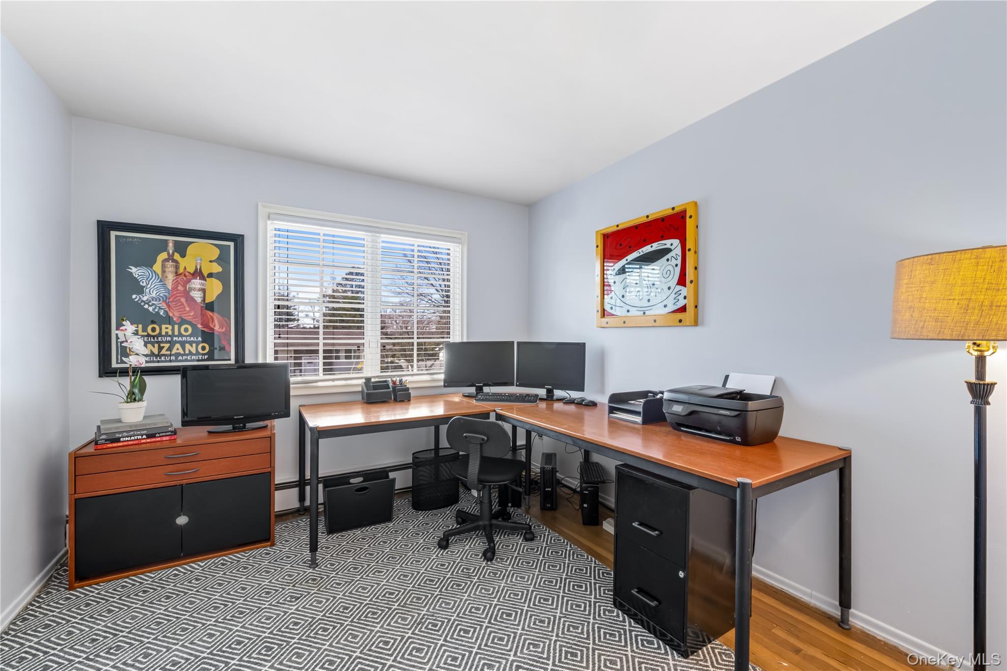 Single Family Delaware Avenue Nassau County, NY 11753, MLS-1024471-20