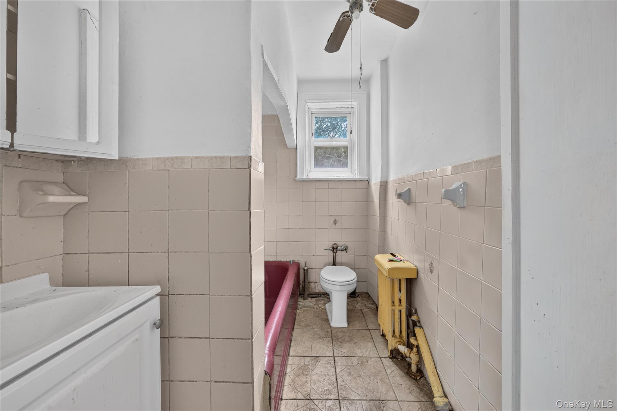 Single Family E 46th Street  Brooklyn, NY 11203, MLS-1024474-13