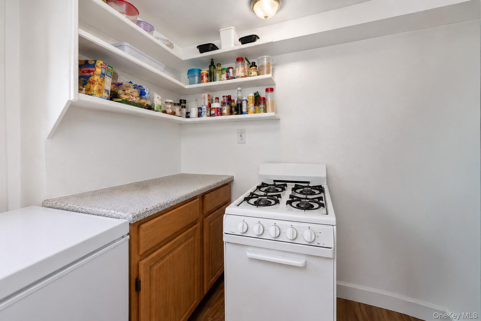 Single Family E 46th Street  Brooklyn, NY 11203, MLS-1024474-17
