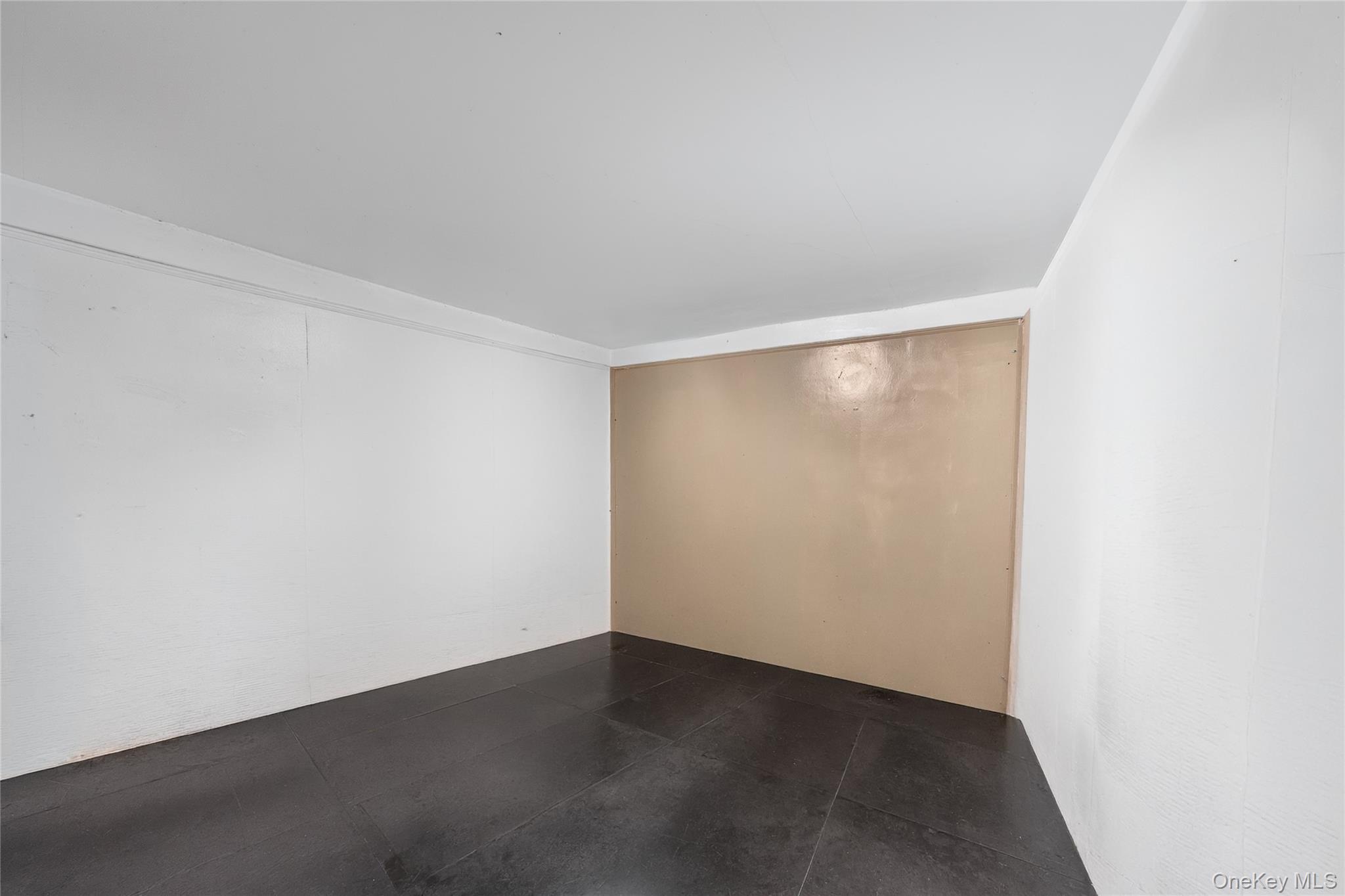 Single Family E 46th Street  Brooklyn, NY 11203, MLS-1024474-19