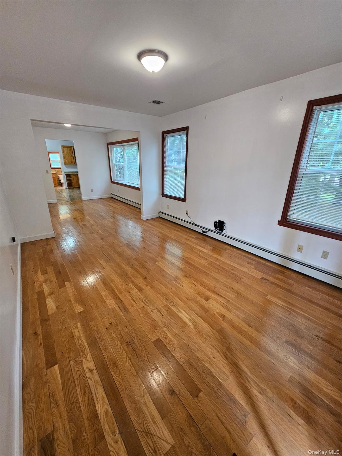 Single Family Searingtown Road  Nassau County, NY 11507, MLS-1024505-9