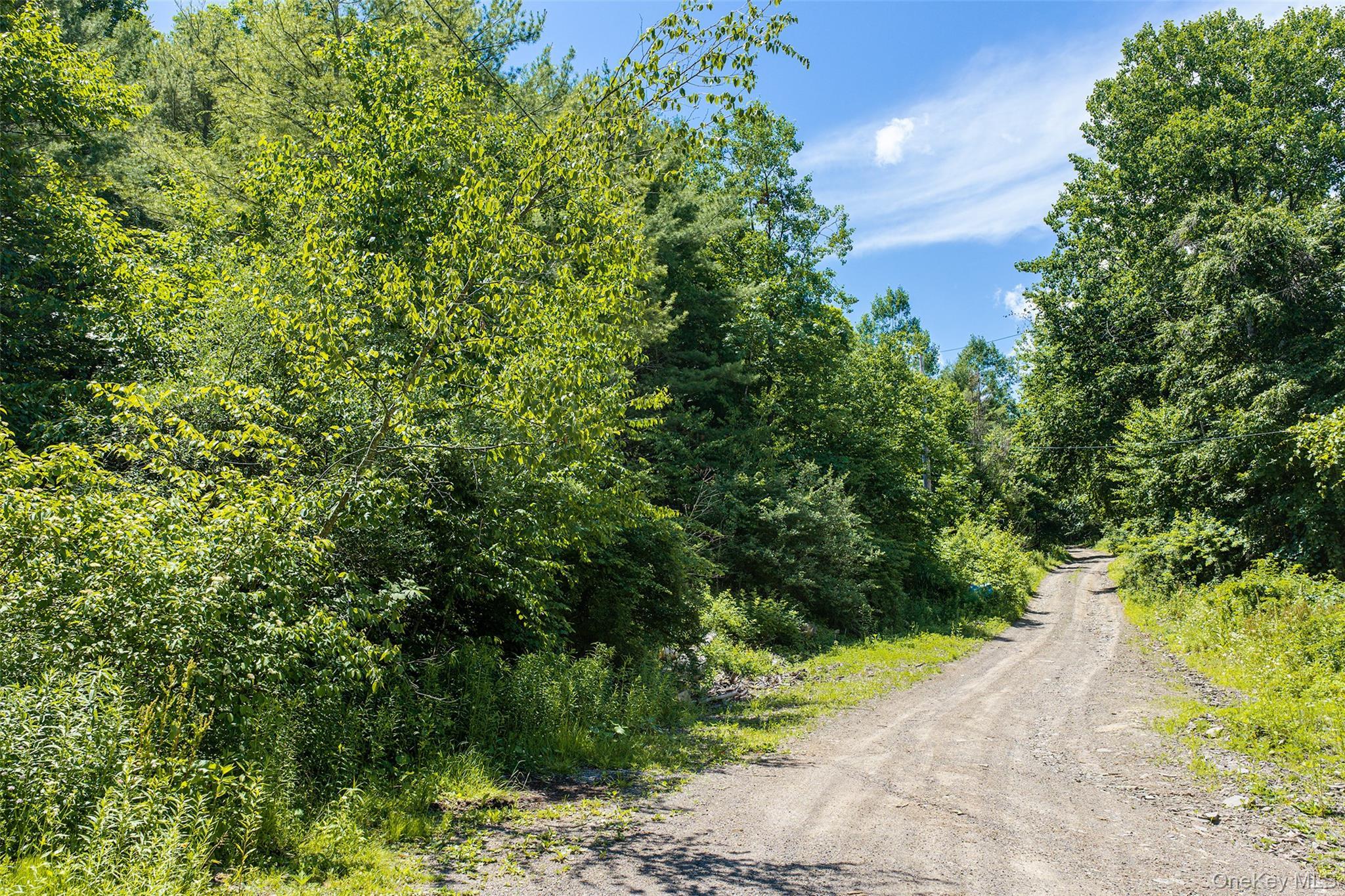 Single Family Hulbert Hill Road Out Of Area, NY 13733, MLS-1024523-41