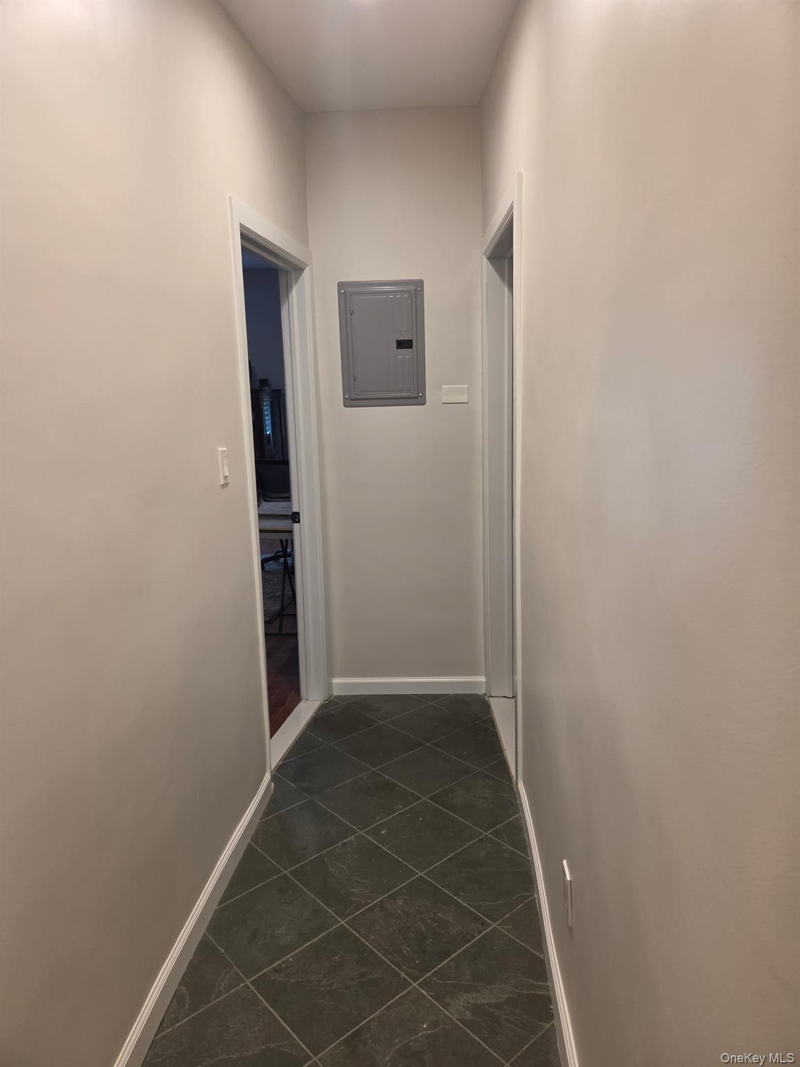 Single Family E 93rd Street Manhattan, NY 10128, MLS-1024533-33