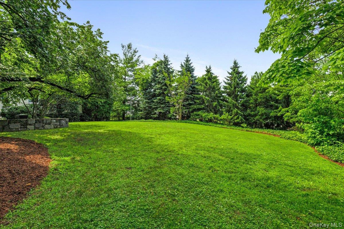Single Family Forest Avenue  Westchester County, NY 10580, MLS-1024563-4