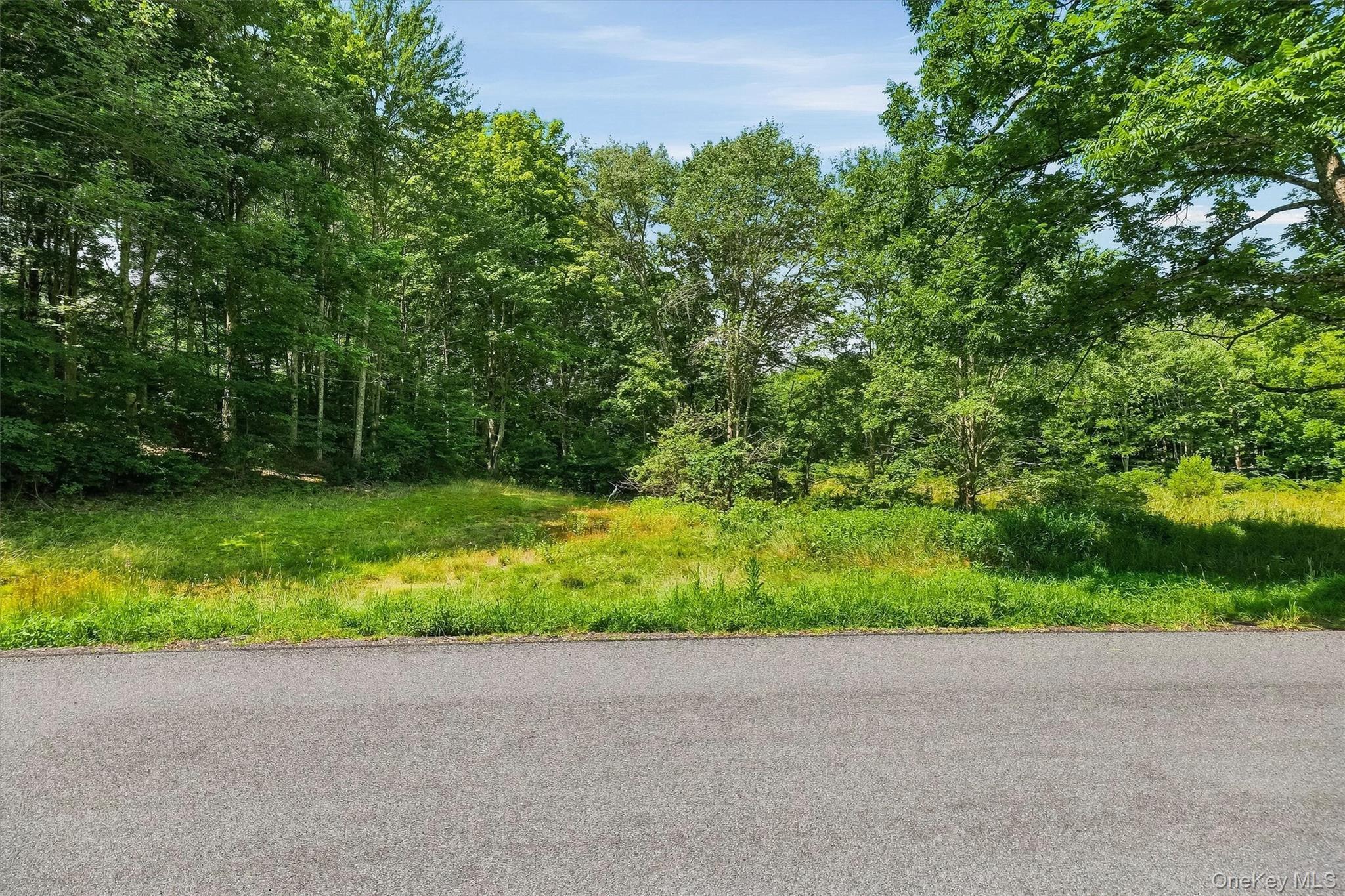 Single Family Quannacut Road Ulster County, NY 12566, MLS-1024611-20