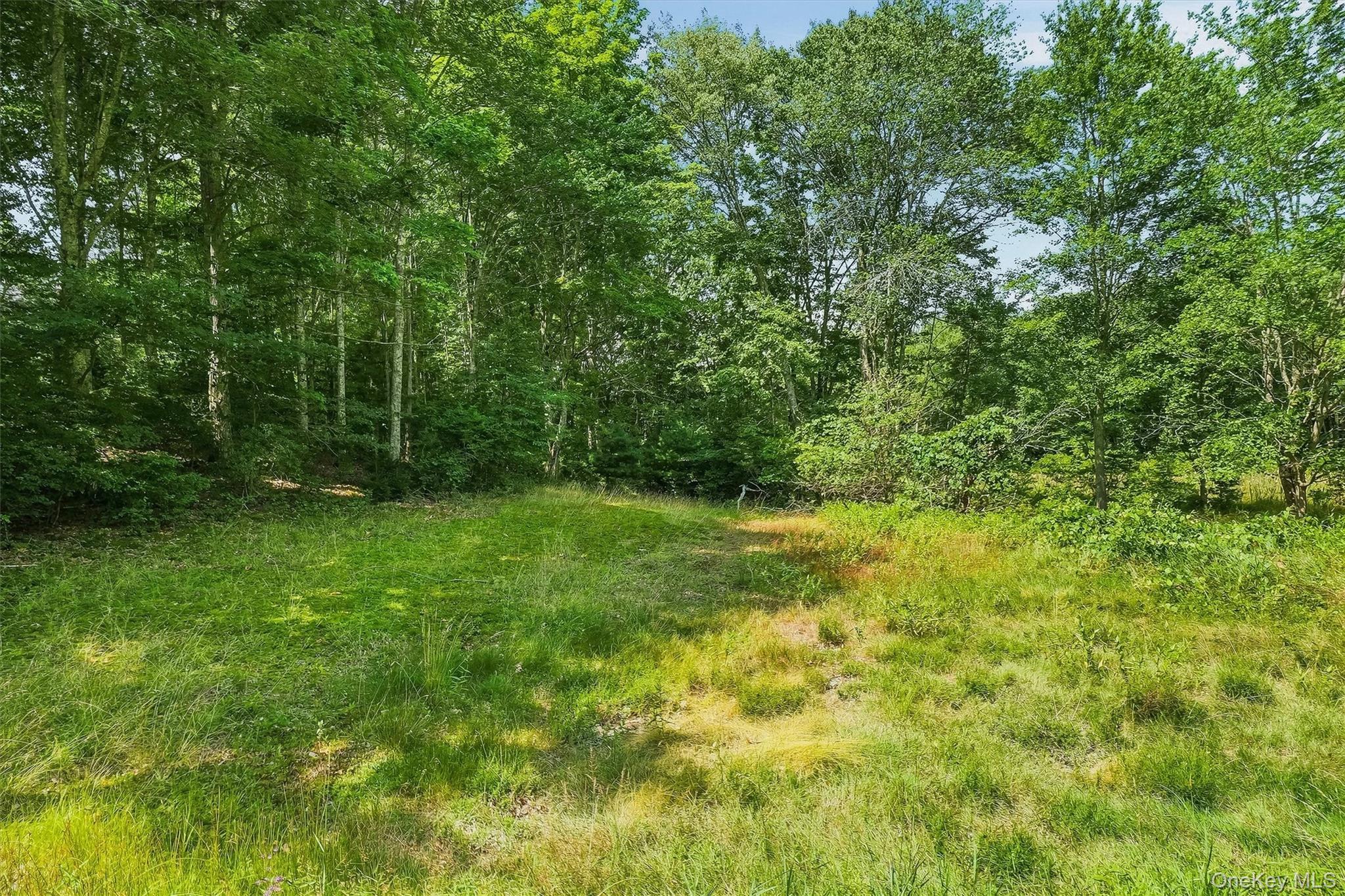 Single Family Quannacut Road Ulster County, NY 12566, MLS-1024611-22