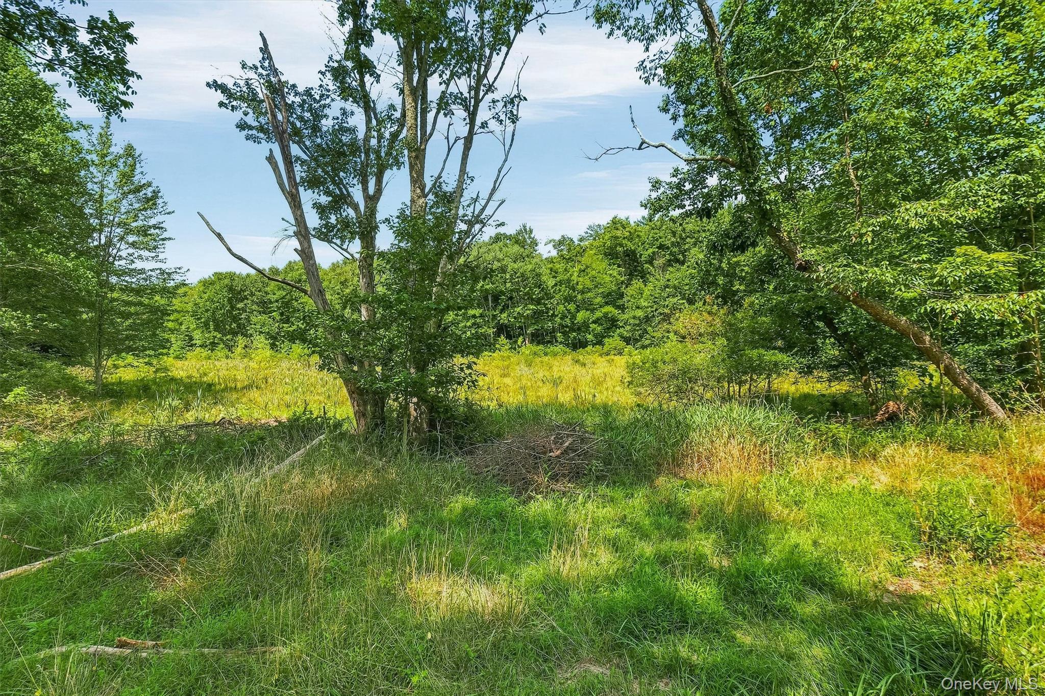 Single Family Quannacut Road Ulster County, NY 12566, MLS-1024611-23