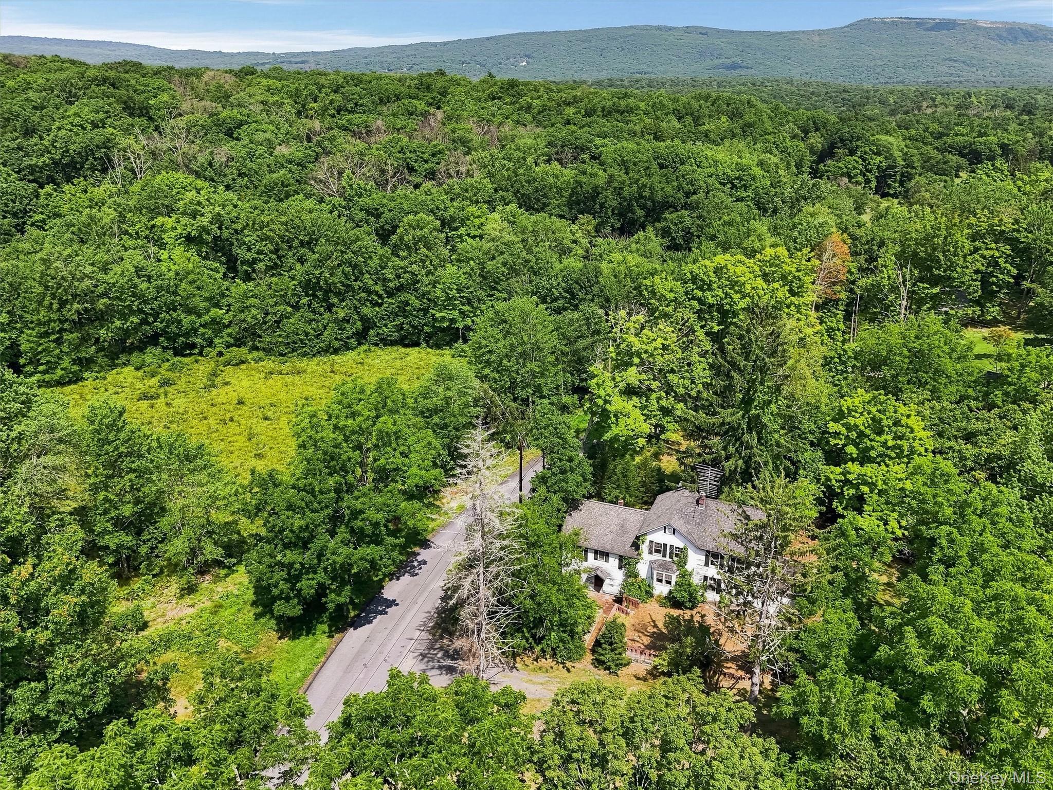 Single Family Quannacut Road Ulster County, NY 12566, MLS-1024611-3