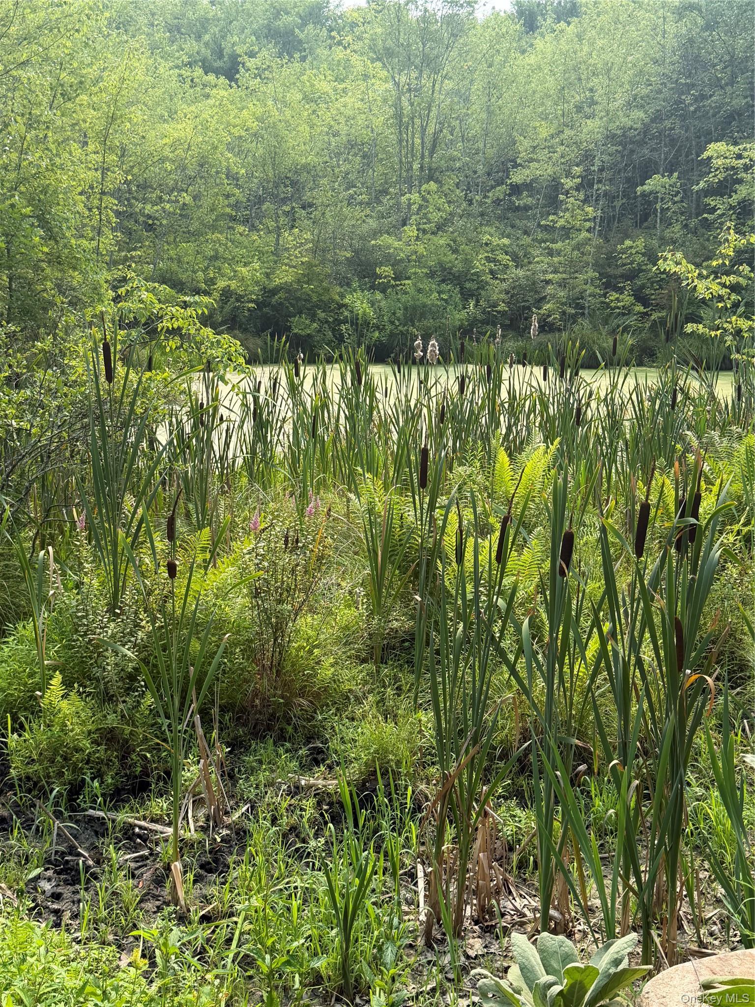 Single Family Quannacut Road Ulster County, NY 12566, MLS-1024611-33