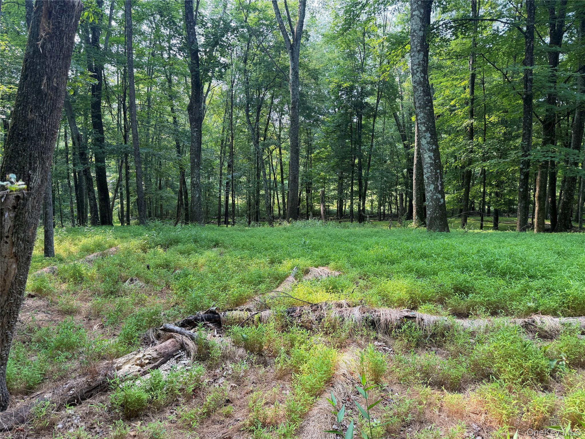 Single Family Quannacut Road Ulster County, NY 12566, MLS-1024611-34