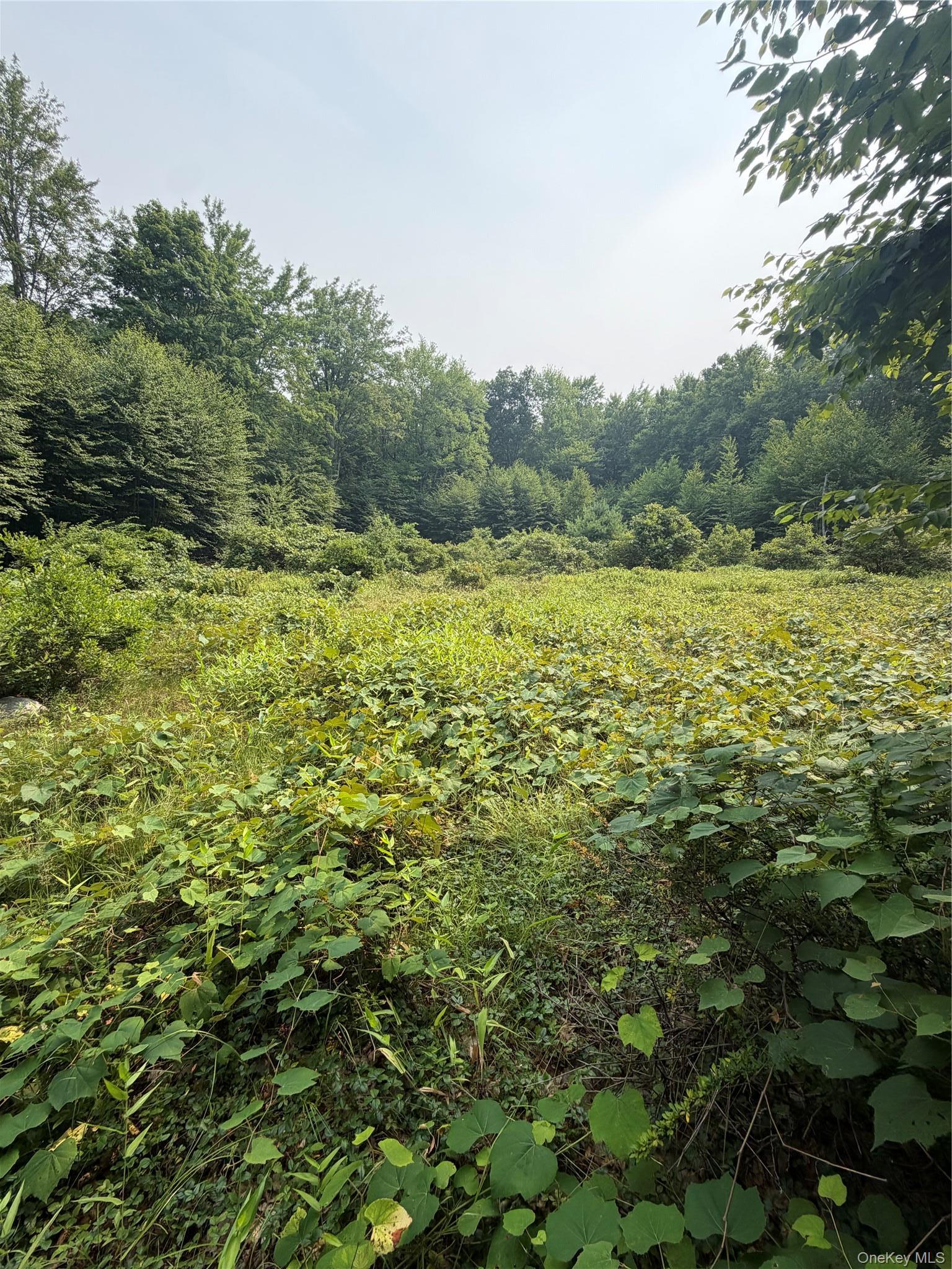 Single Family Quannacut Road Ulster County, NY 12566, MLS-1024611-35