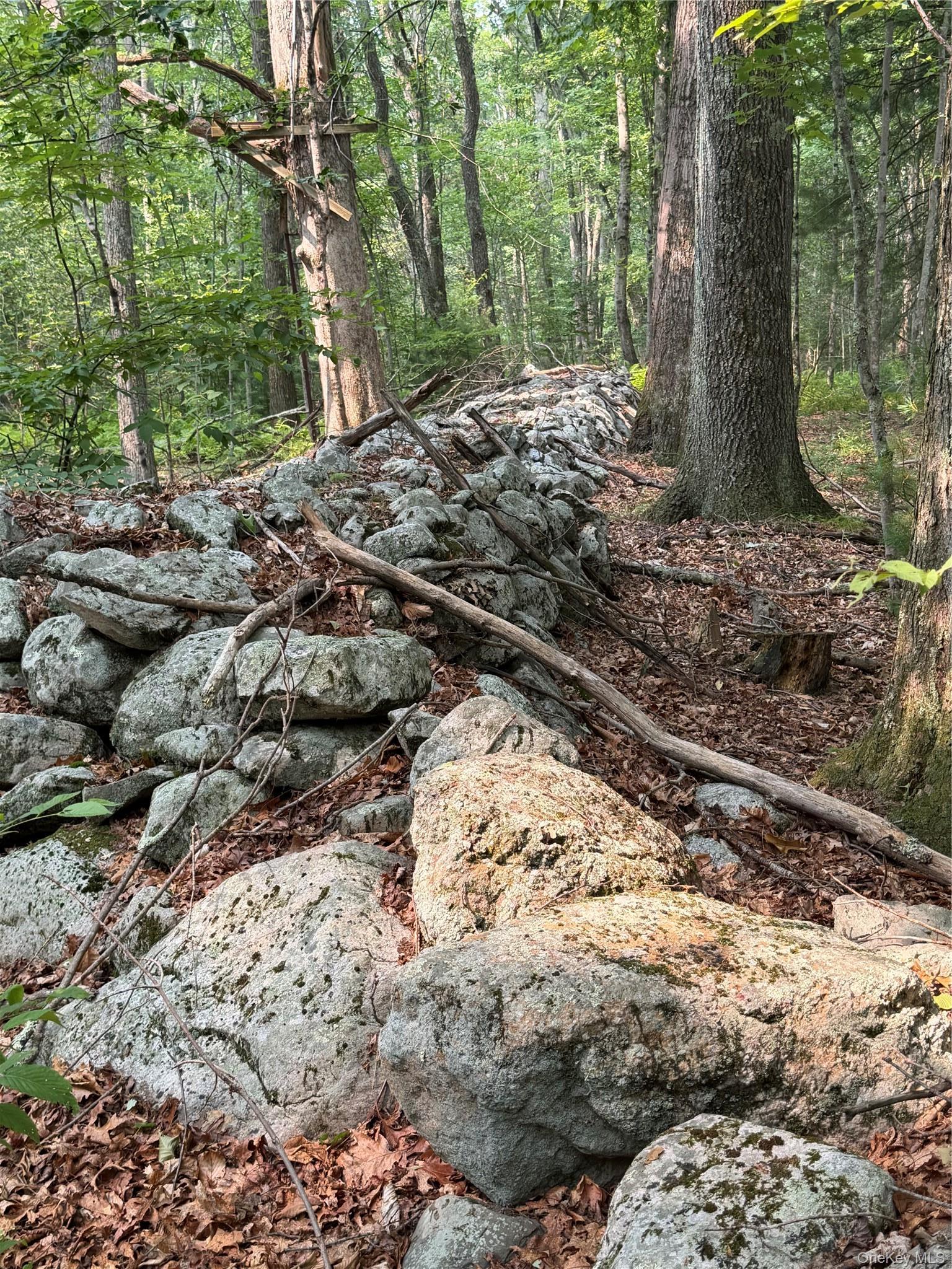 Single Family Quannacut Road Ulster County, NY 12566, MLS-1024611-36