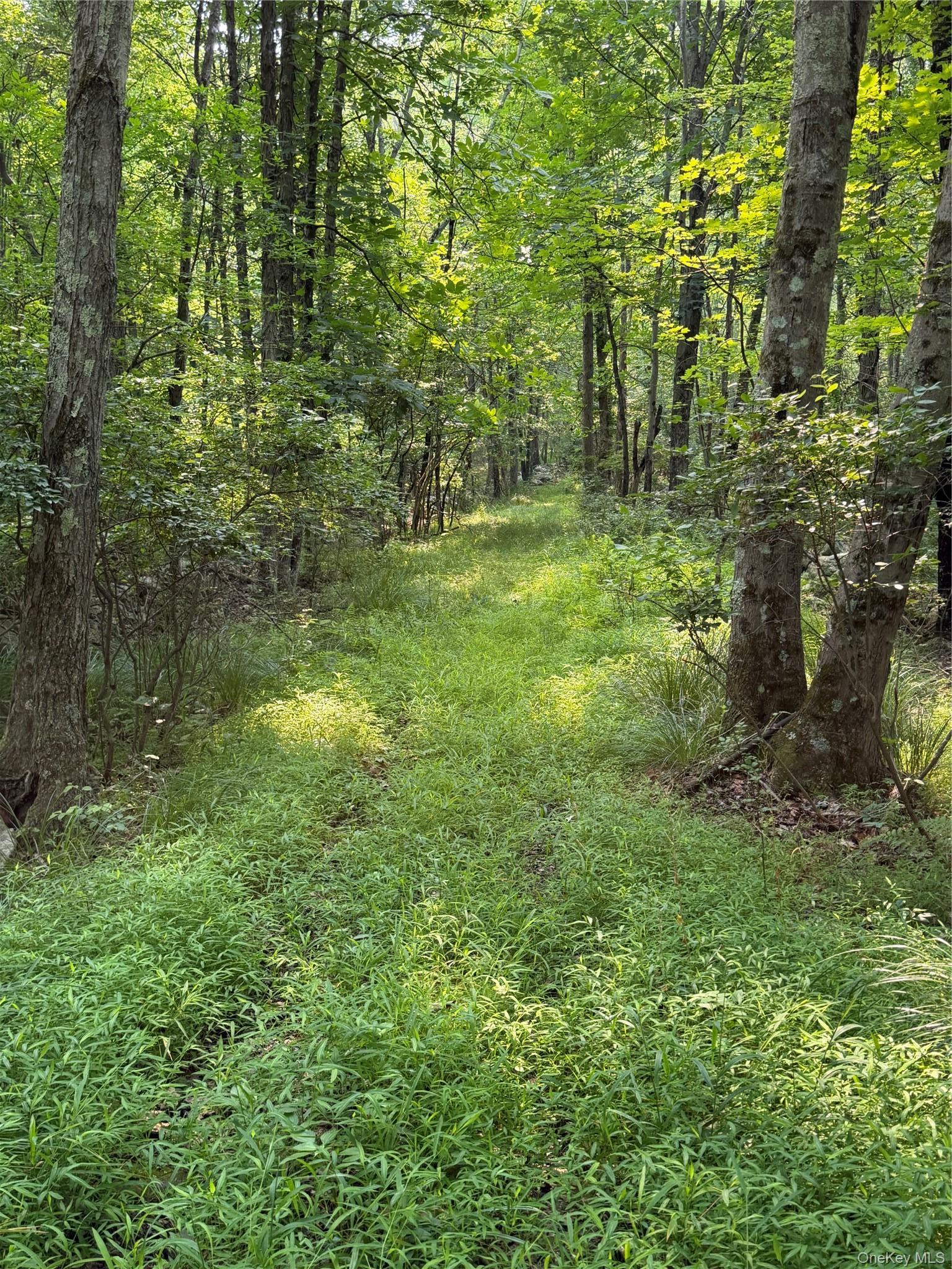 Single Family Quannacut Road Ulster County, NY 12566, MLS-1024611-37