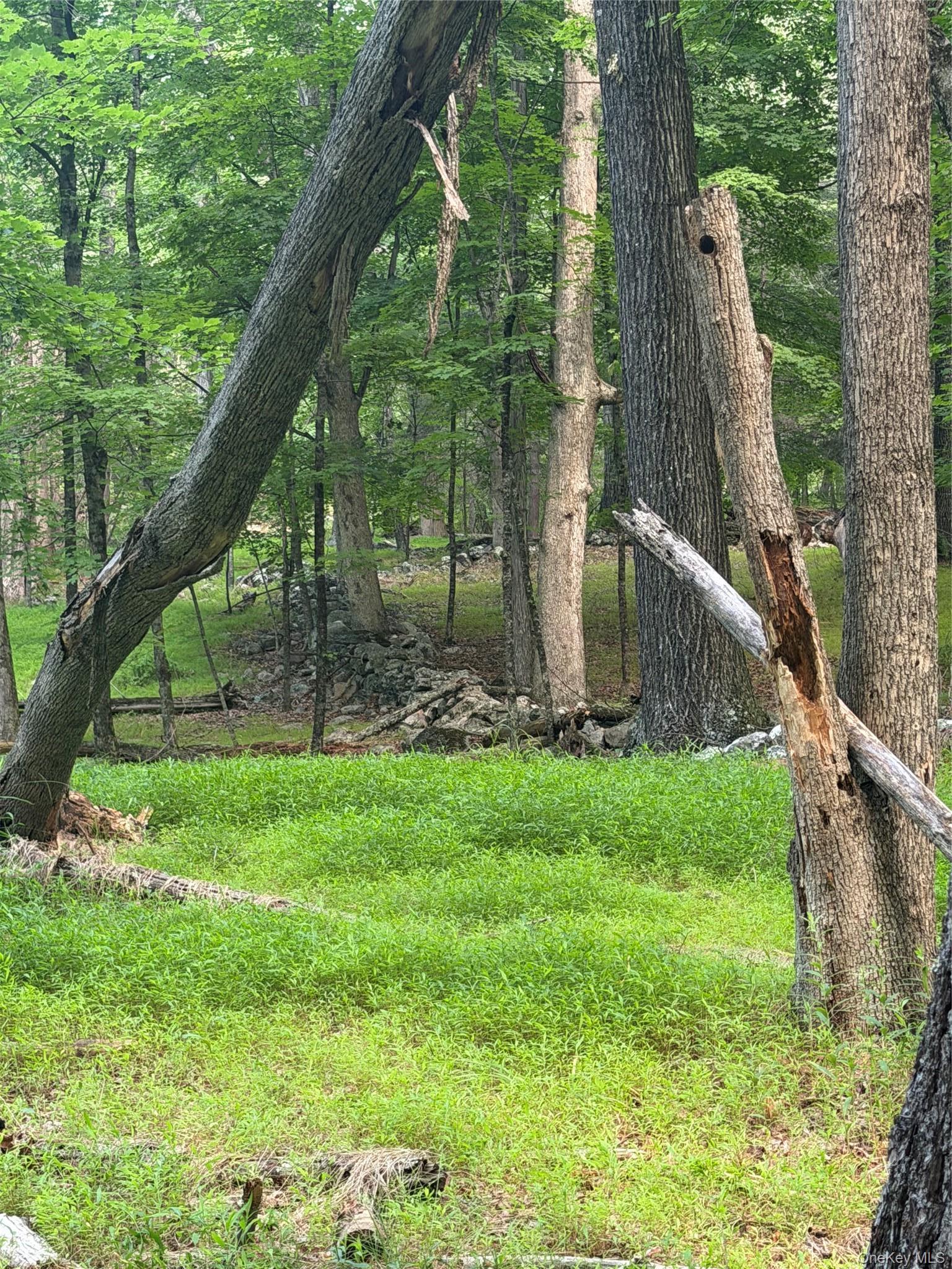 Single Family Quannacut Road Ulster County, NY 12566, MLS-1024611-38