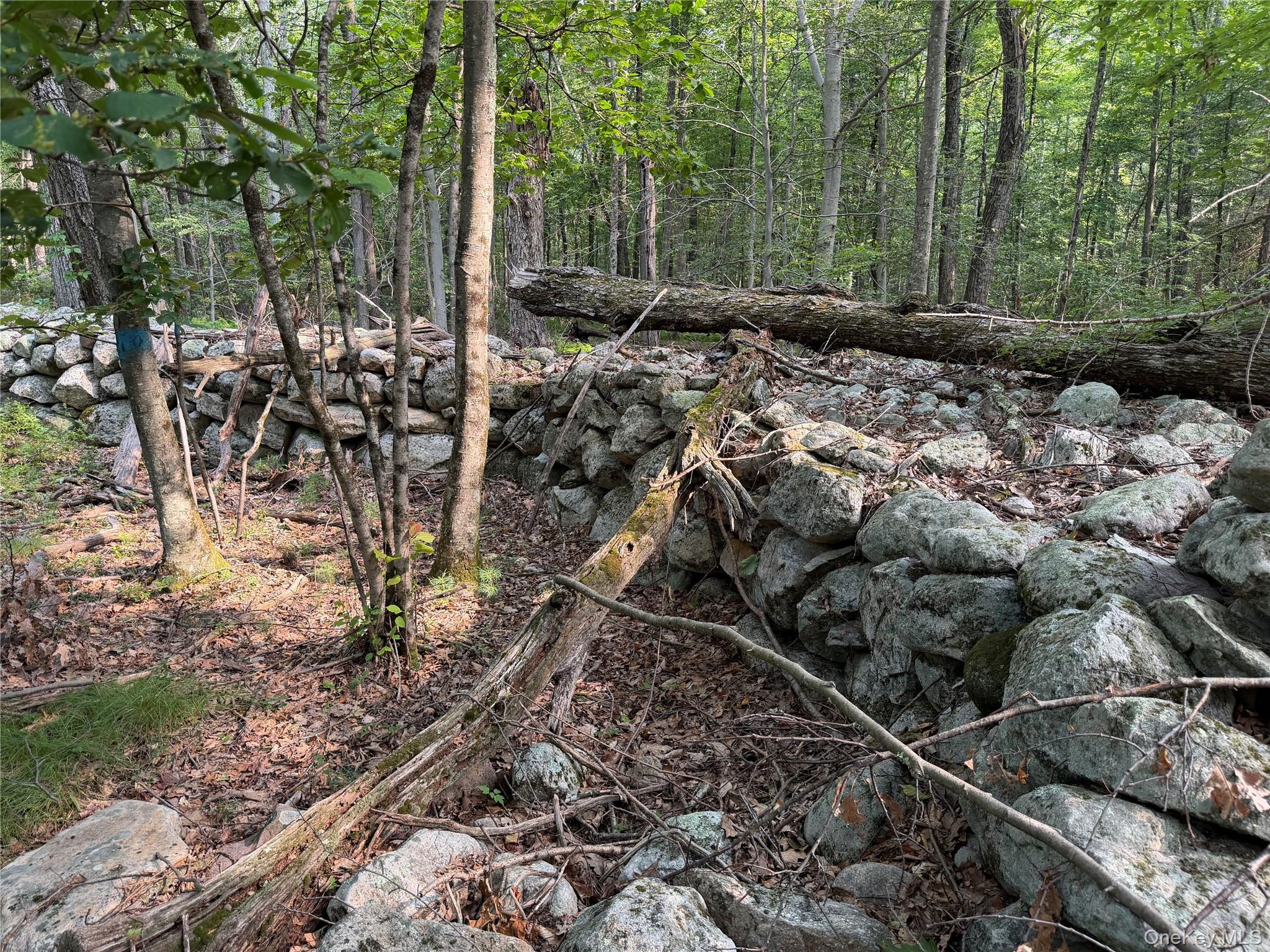 Single Family Quannacut Road Ulster County, NY 12566, MLS-1024611-41