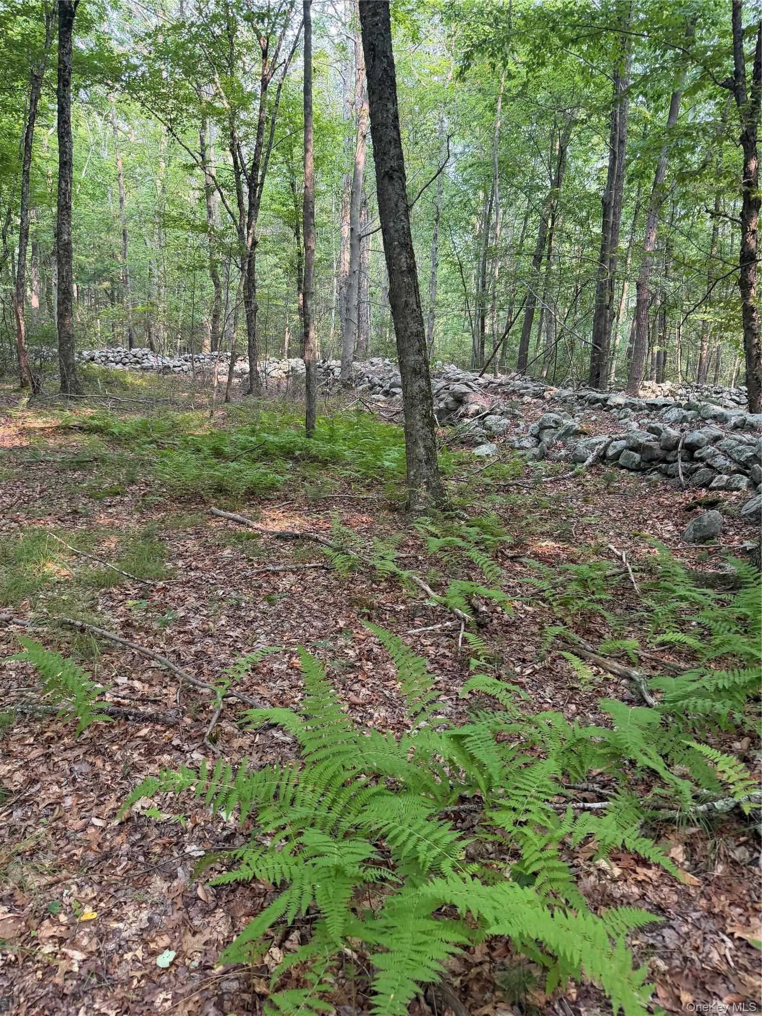 Single Family Quannacut Road Ulster County, NY 12566, MLS-1024611-42