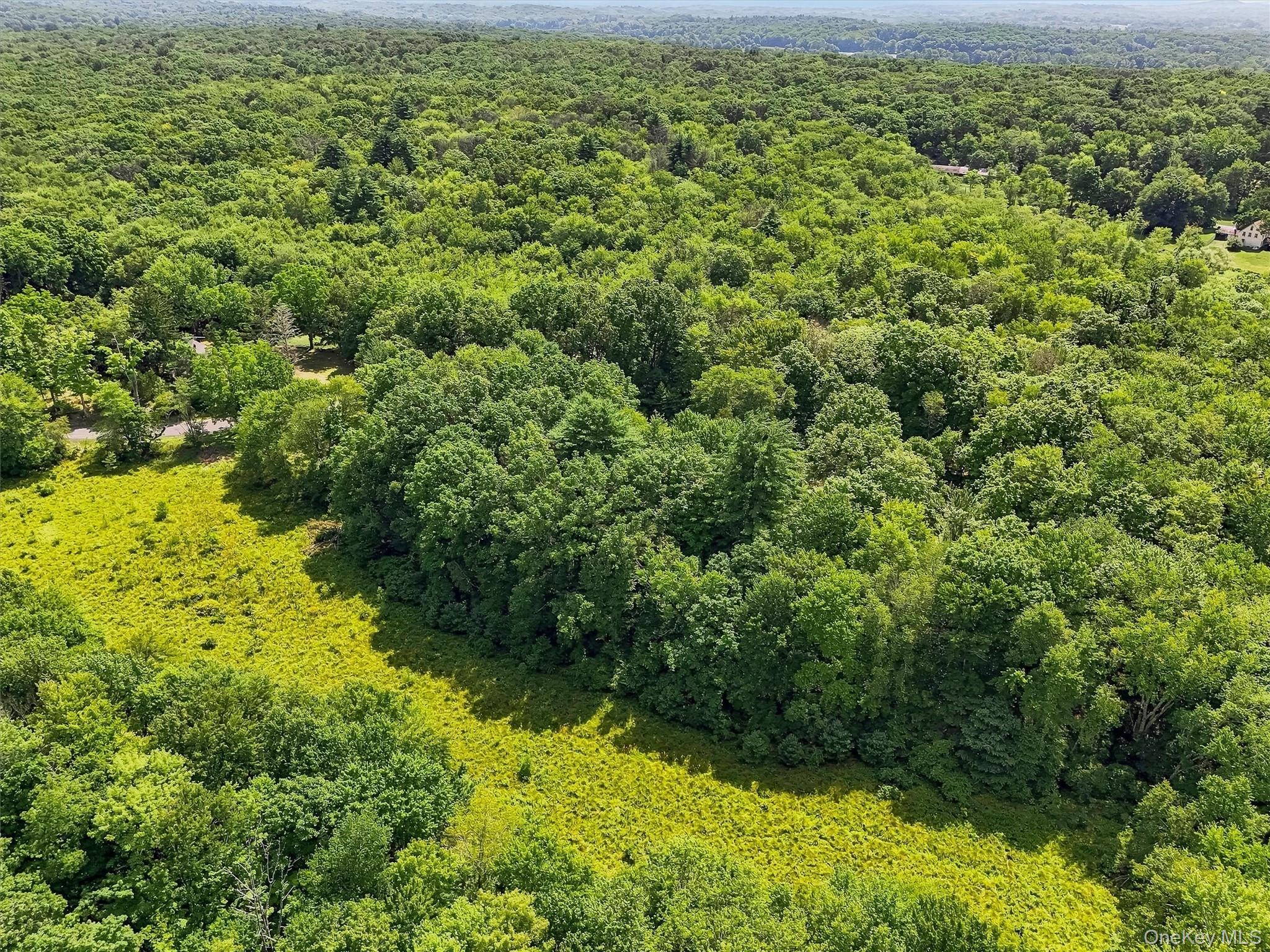 Single Family Quannacut Road Ulster County, NY 12566, MLS-1024611-44