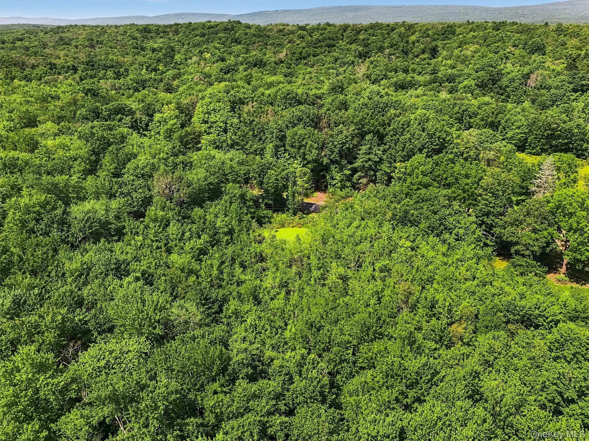 Single Family Quannacut Road Ulster County, NY 12566, MLS-1024611-45