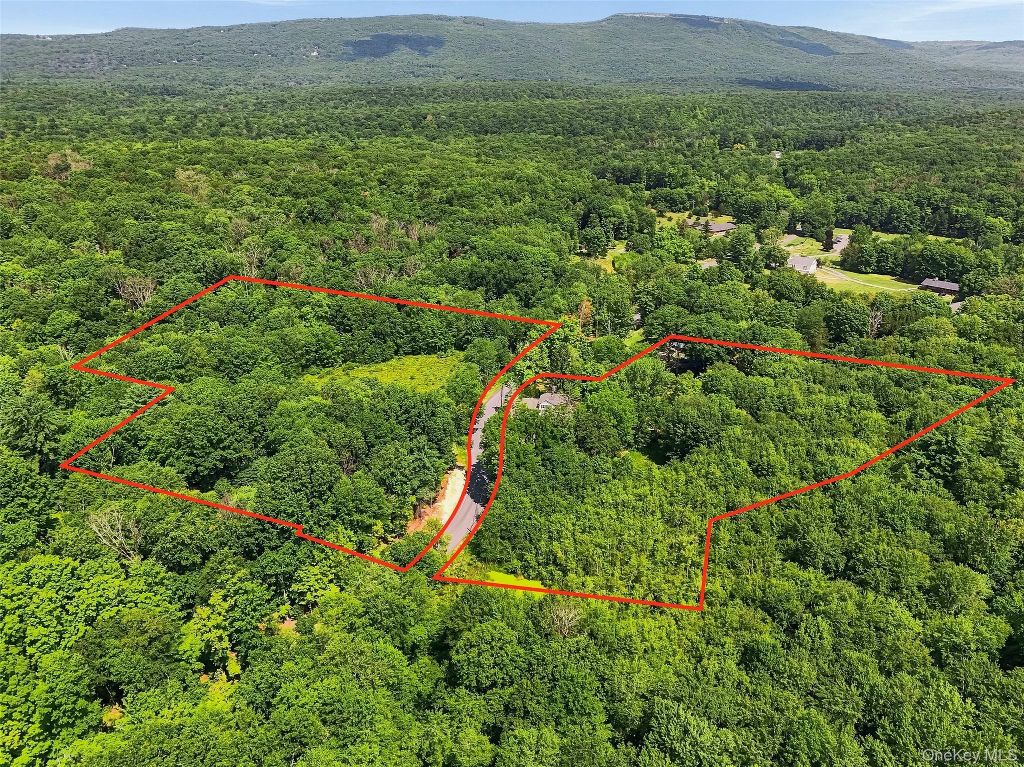 Single Family Quannacut Road  Ulster County, NY 12566, MLS-1024611-46