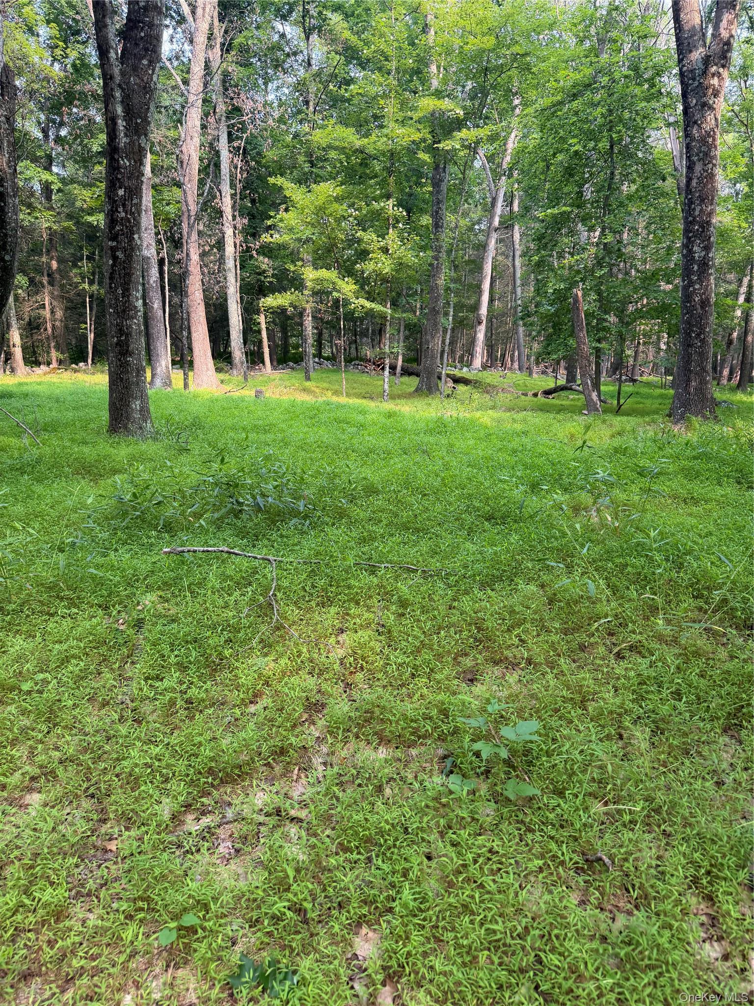 Single Family Quannacut Road Ulster County, NY 12566, MLS-1024611-8
