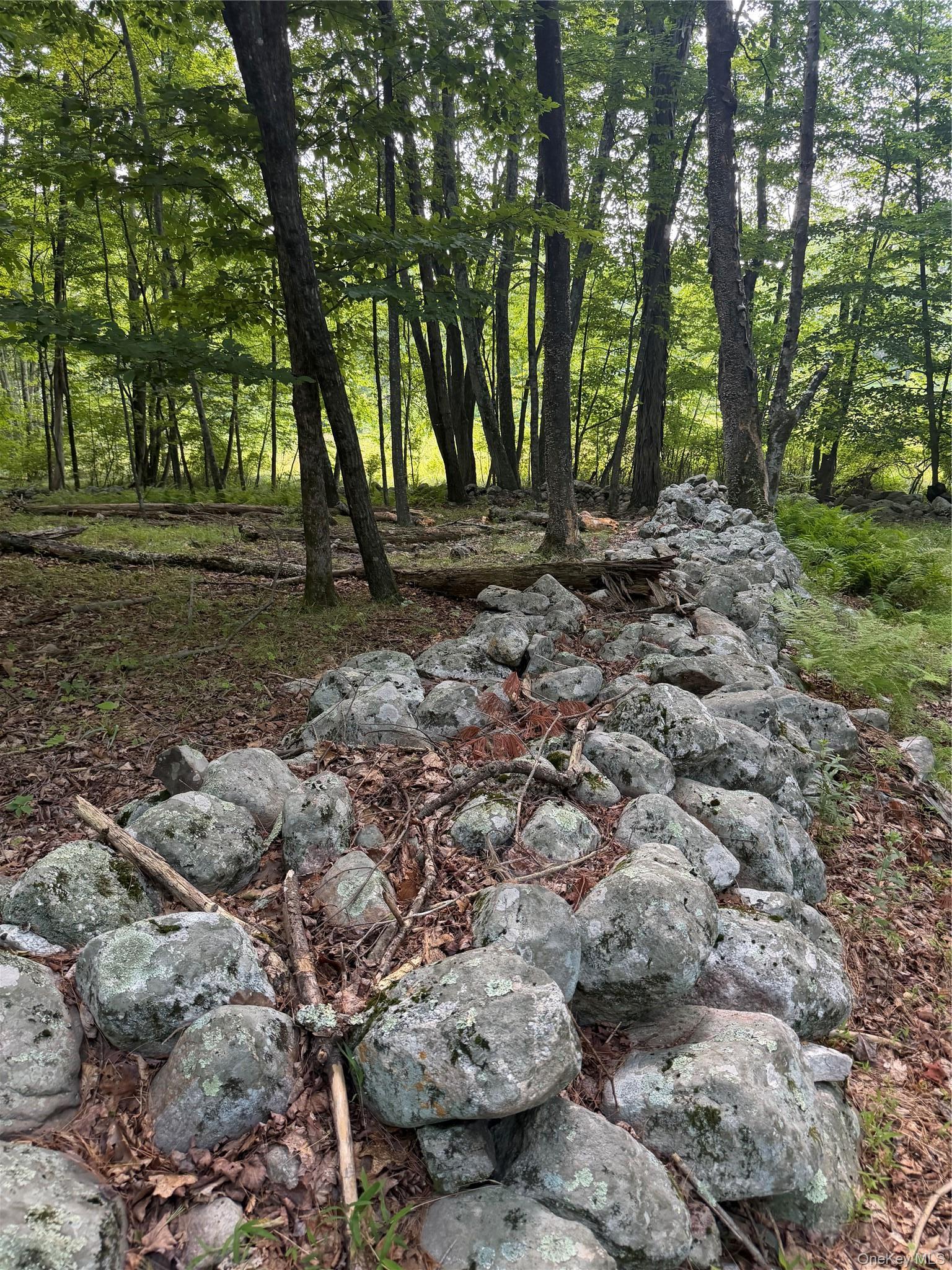 Single Family Quannacut Road Ulster County, NY 12566, MLS-1024611-9