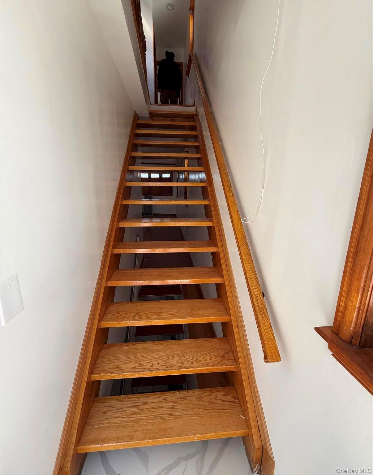 Single Family 150th Avenue  Queens, NY 11420, MLS-1024623-9