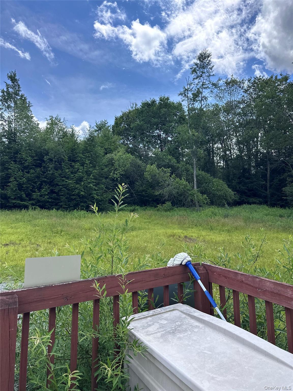 Single Family Lenape Lake Road Sullivan County, NY 12758, MLS-1024645-16