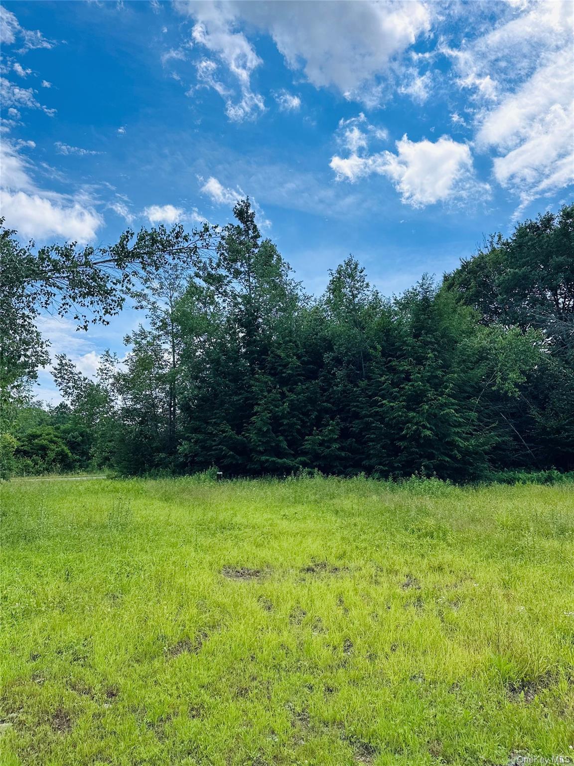 Single Family Lenape Lake Road Sullivan County, NY 12758, MLS-1024645-17
