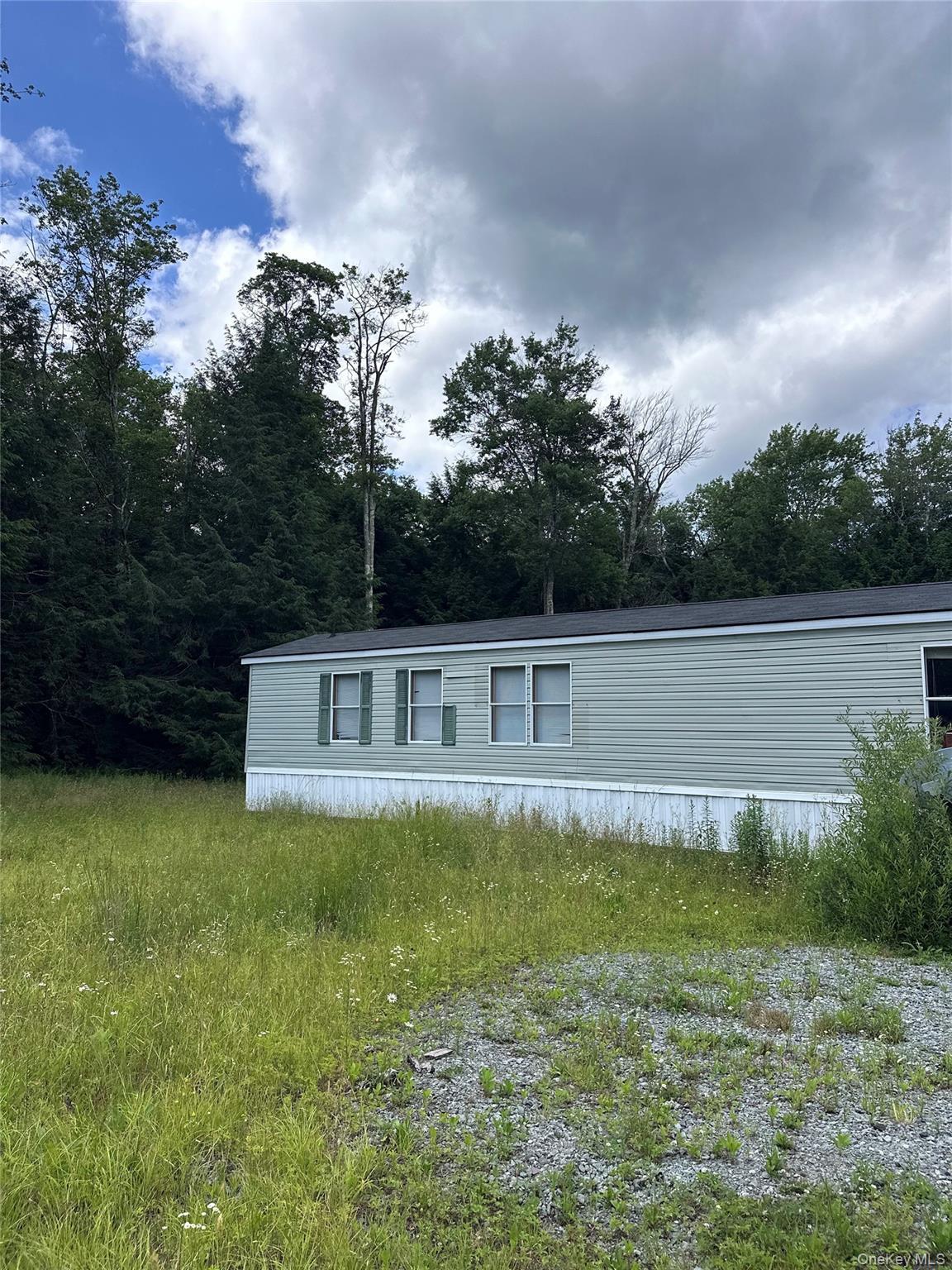 Single Family Lenape Lake Road Sullivan County, NY 12758, MLS-1024645-18