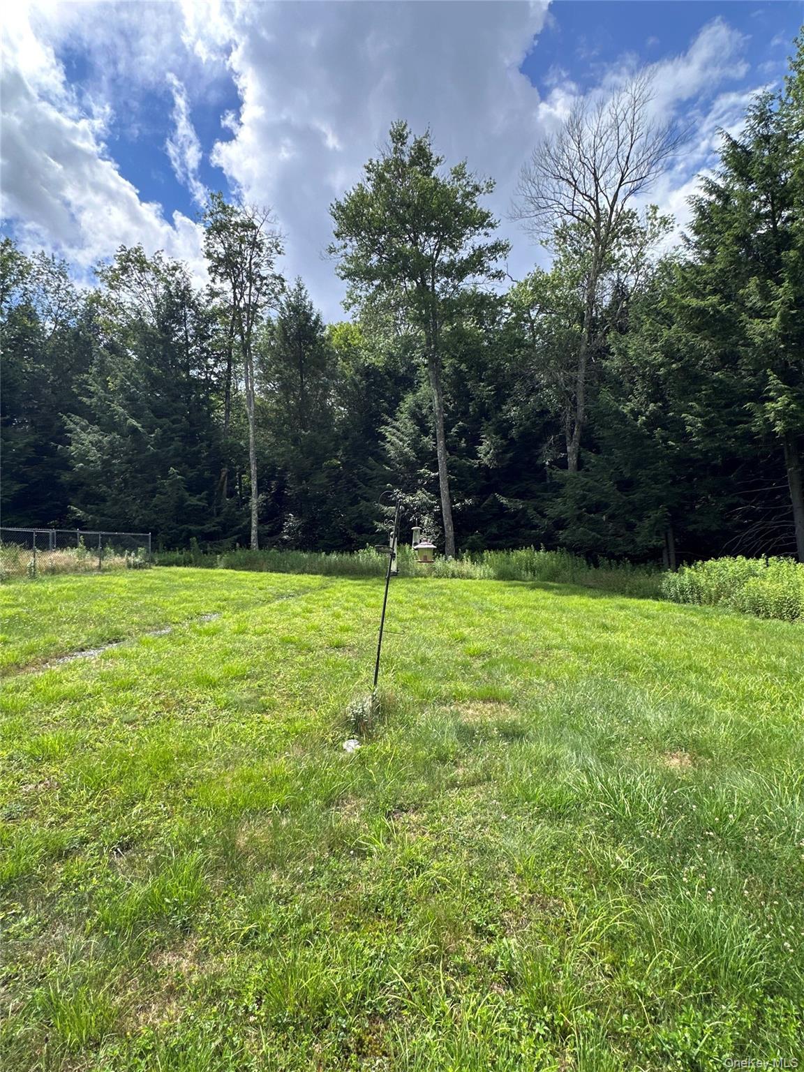Single Family Lenape Lake Road Sullivan County, NY 12758, MLS-1024645-19