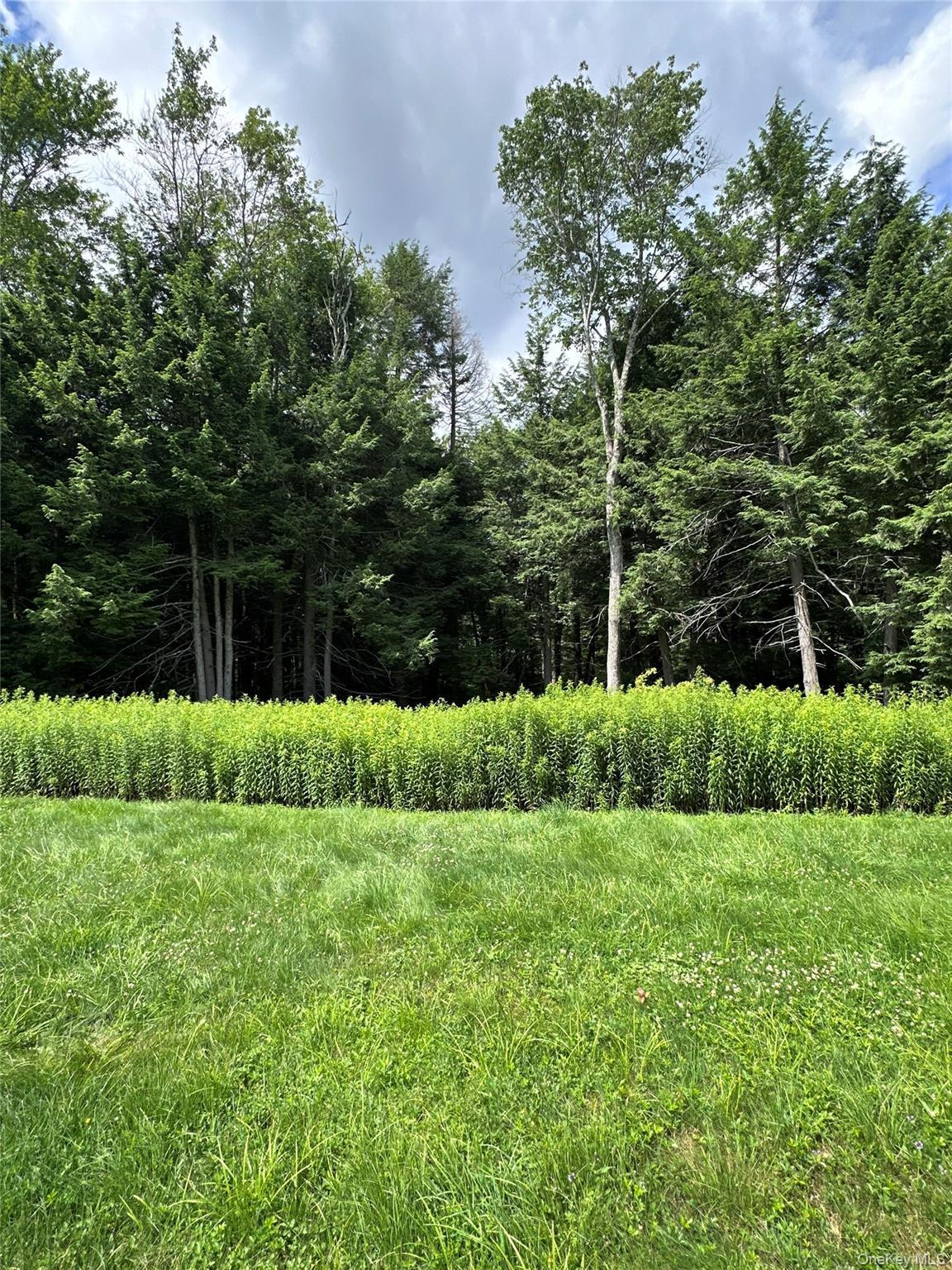 Single Family Lenape Lake Road Sullivan County, NY 12758, MLS-1024645-2