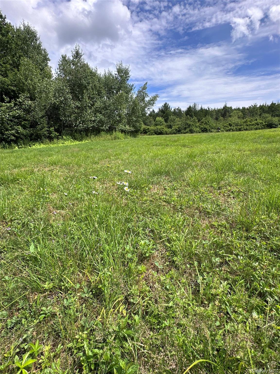 Single Family Lenape Lake Road  Sullivan County, NY 12758, MLS-1024645-20