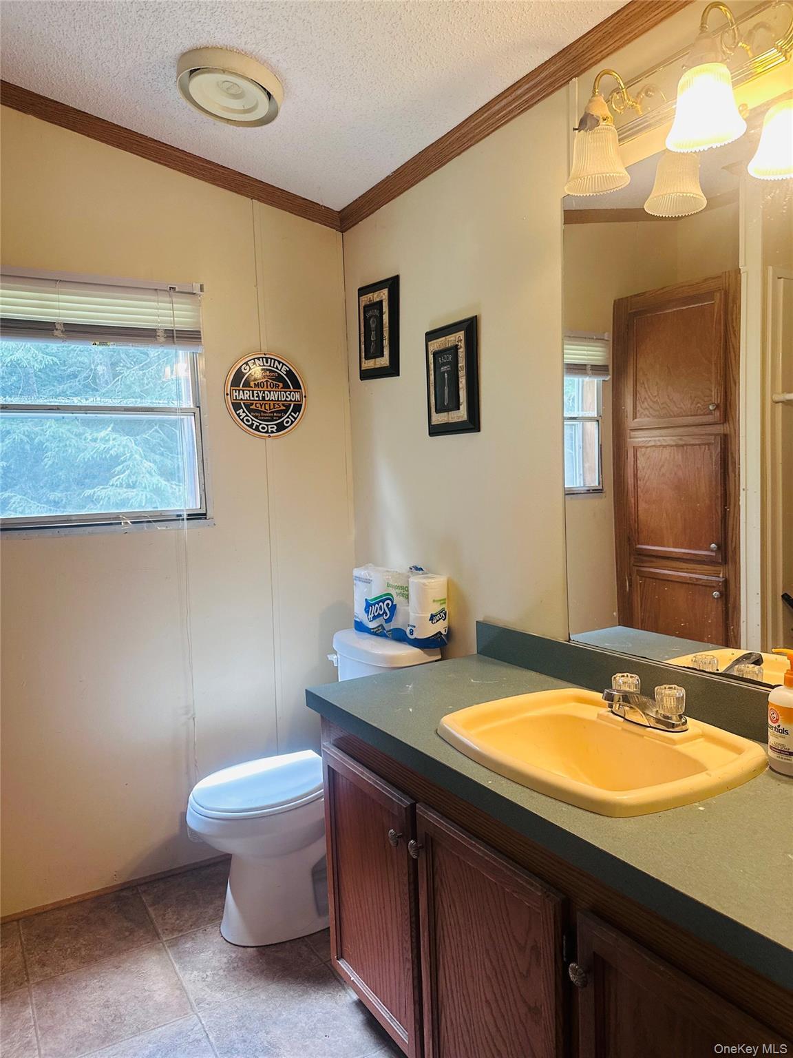 Single Family Lenape Lake Road Sullivan County, NY 12758, MLS-1024645-9
