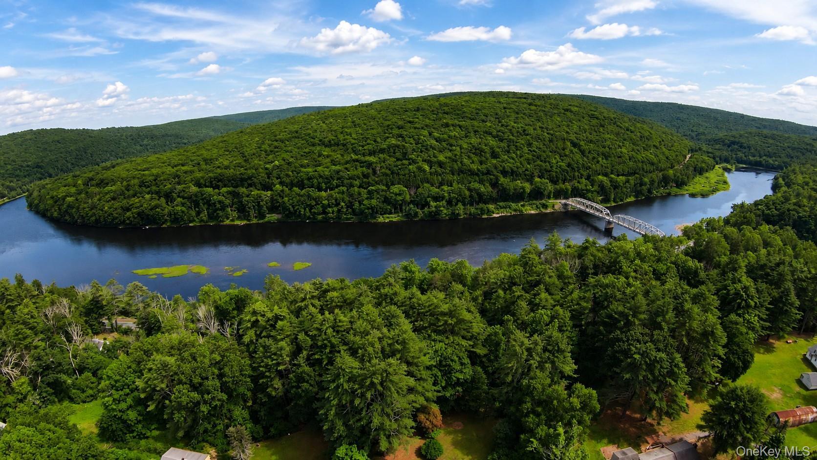 Single Family Andrew Paye Road Sullivan County, NY 12770, MLS-1024668-40