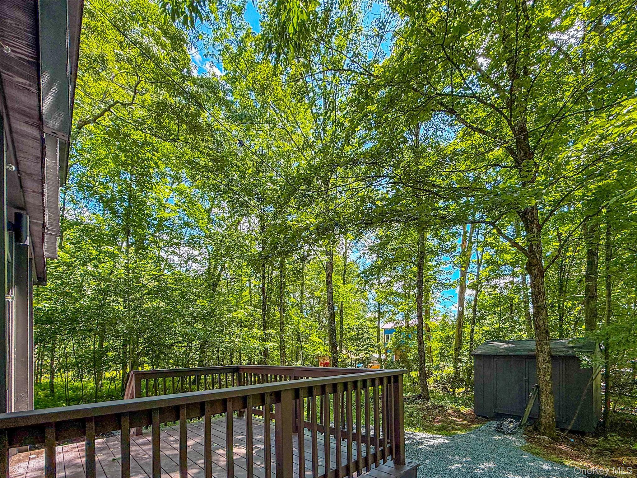 Single Family Lake Drive  Sullivan County, NY 12768, MLS-1024679-25