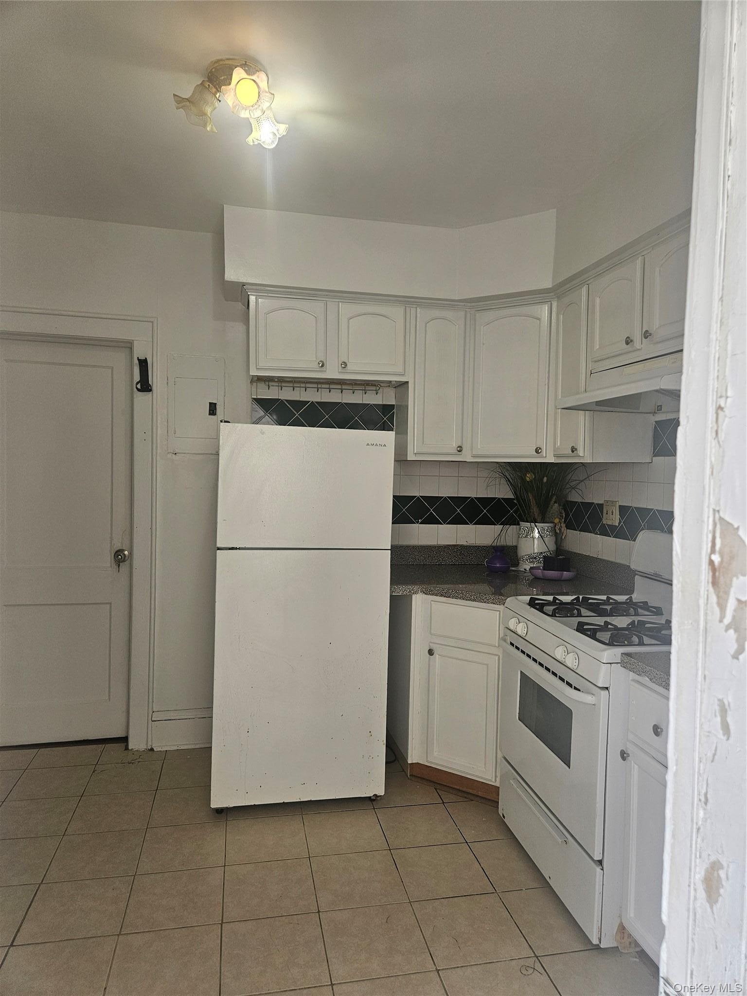 Single Family Arlington Terrace Queens, NY 11435, MLS-1024726-11