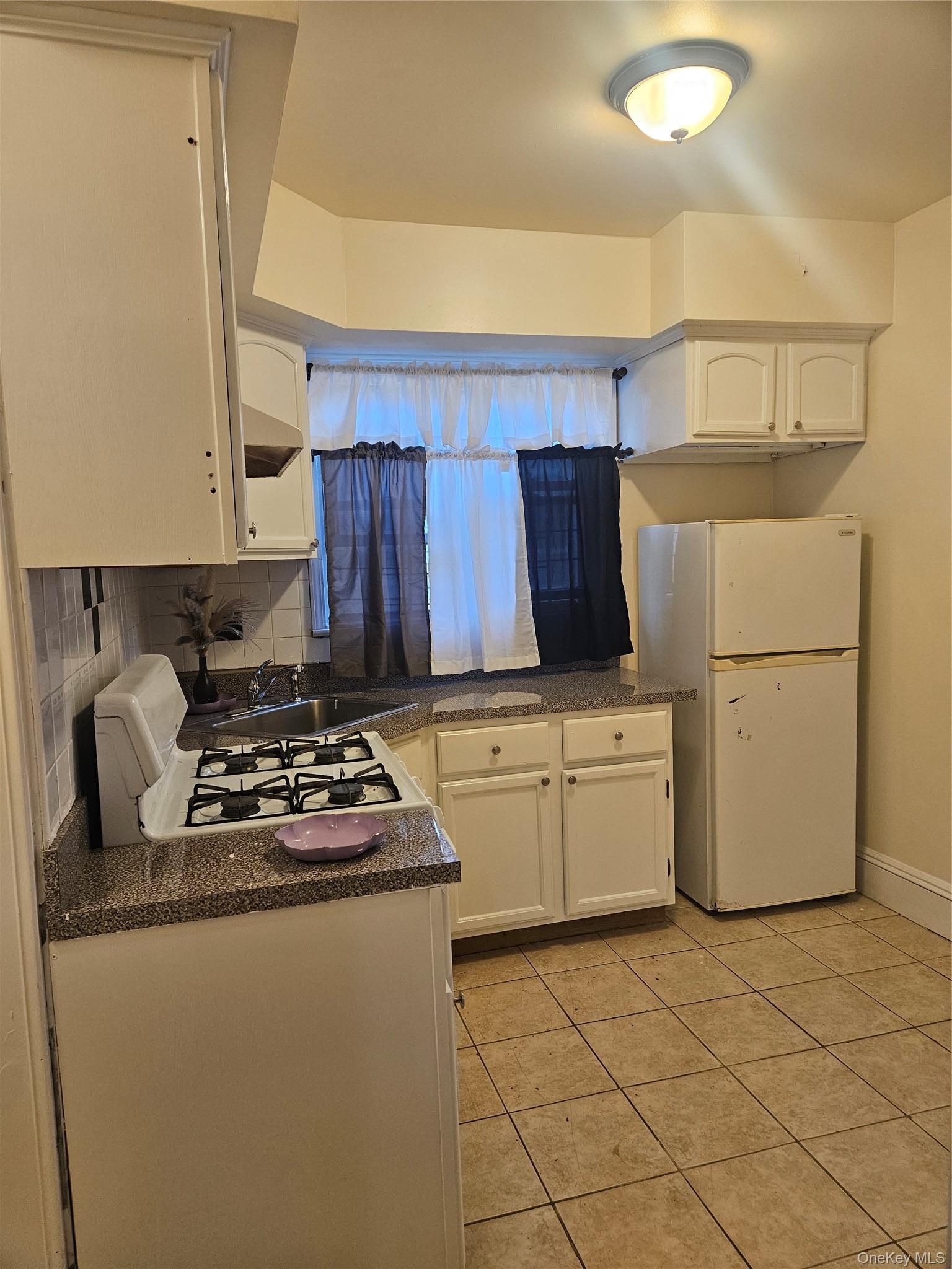 Single Family Arlington Terrace Queens, NY 11435, MLS-1024726-13