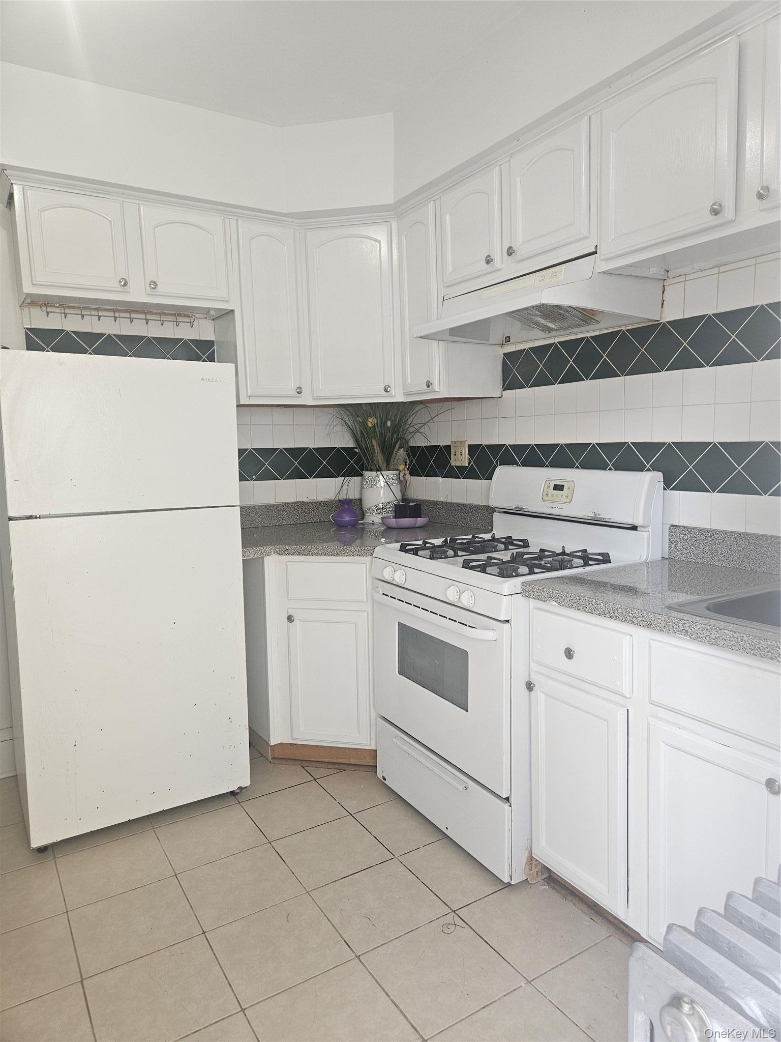 Single Family Arlington Terrace Queens, NY 11435, MLS-1024726-9