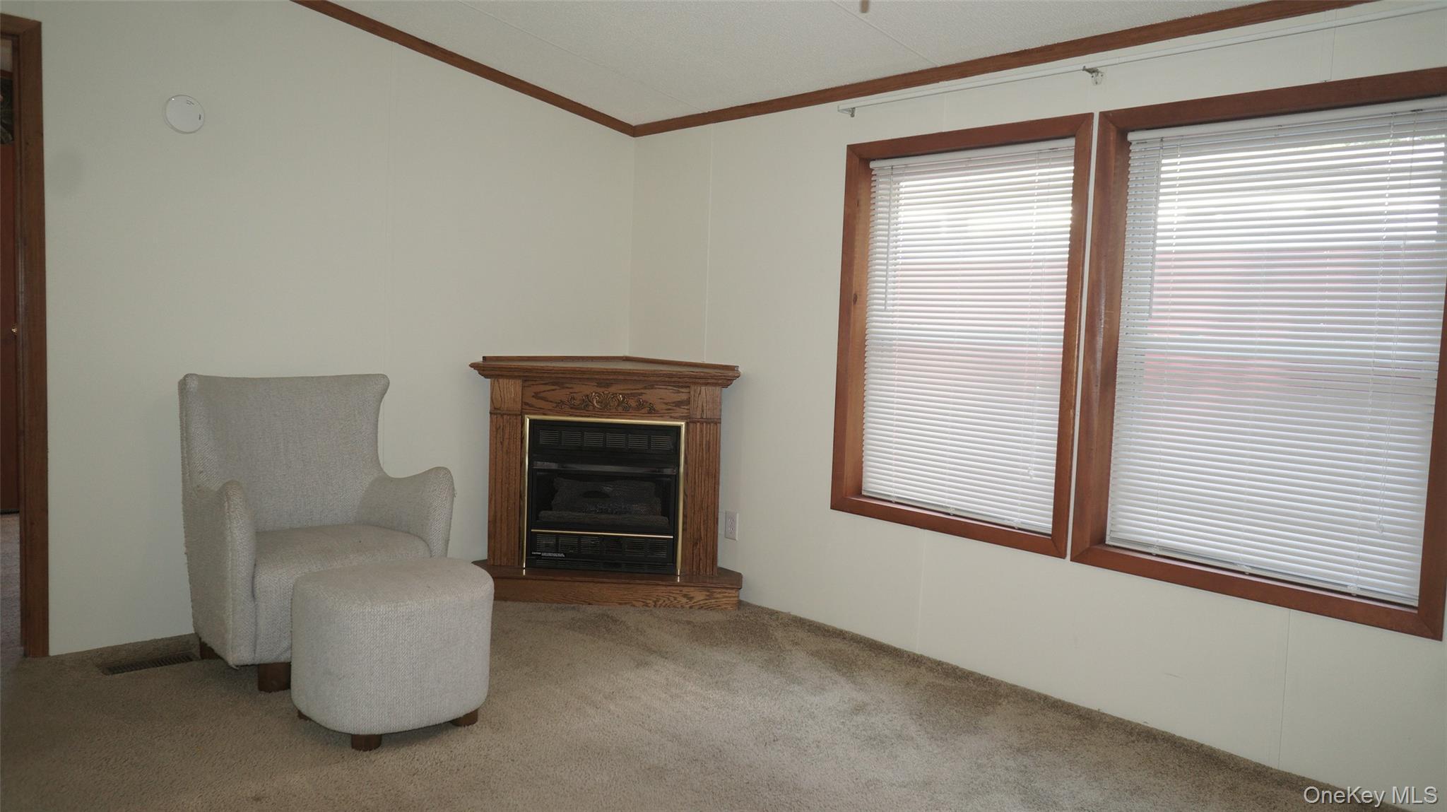 Single Family Bircher Avenue Dutchess County, NY 12601, MLS-1024752-9