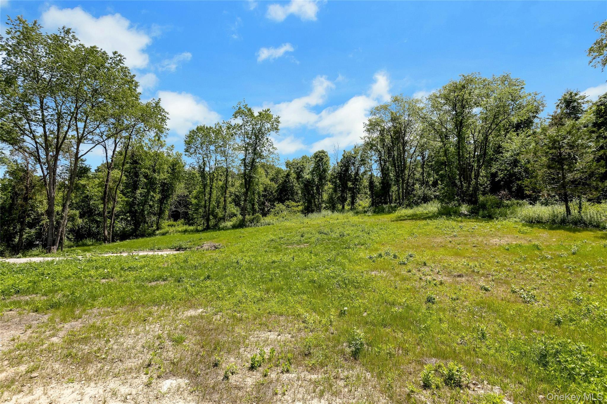 Single Family Peekskill Hollow Road  Putnam County, NY 10579, MLS-1024757-37